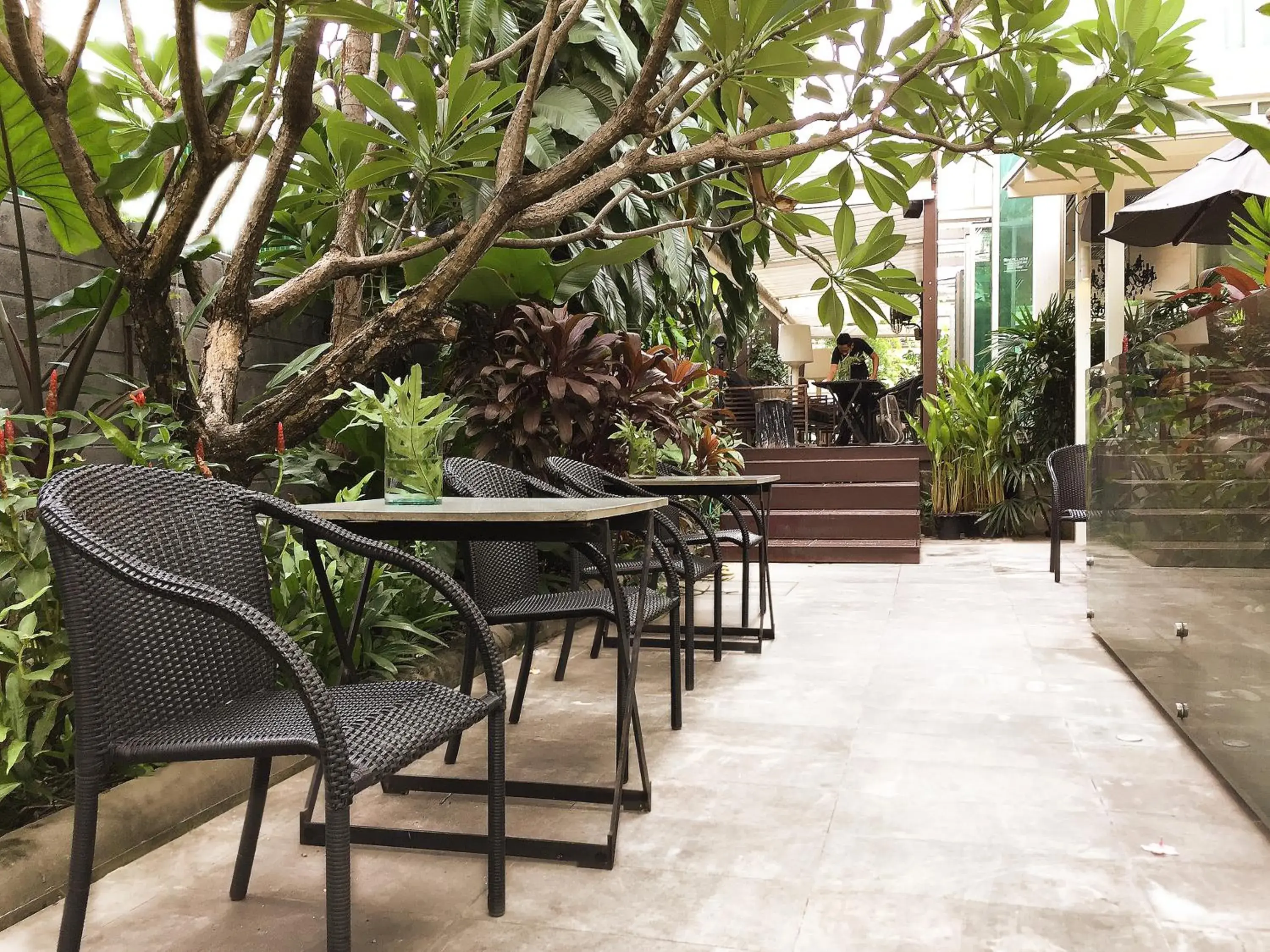 Garden view in Refillnow! Hostel Garden view in Refillnow! Hostel