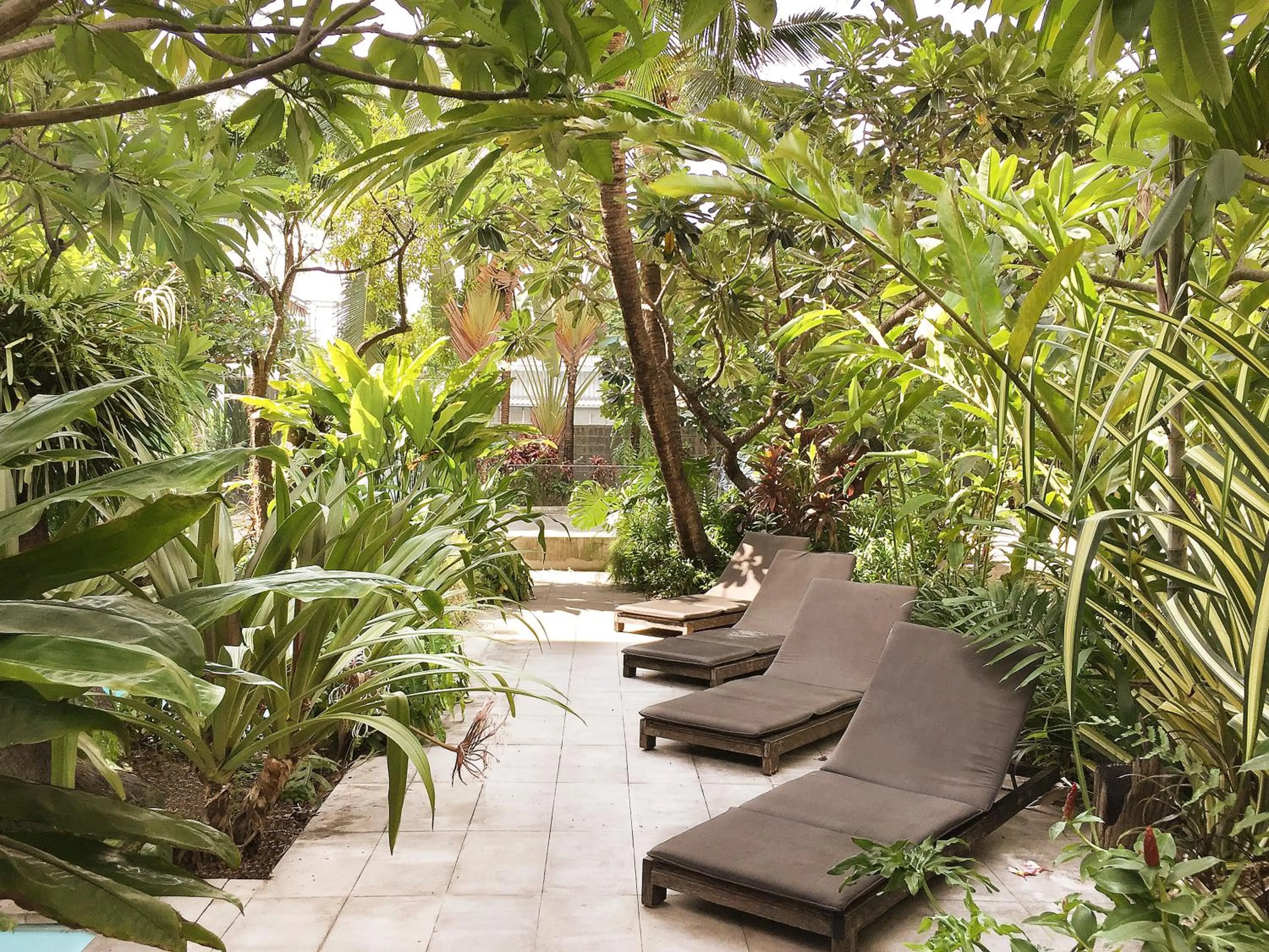 Garden in Refillnow! Hostel