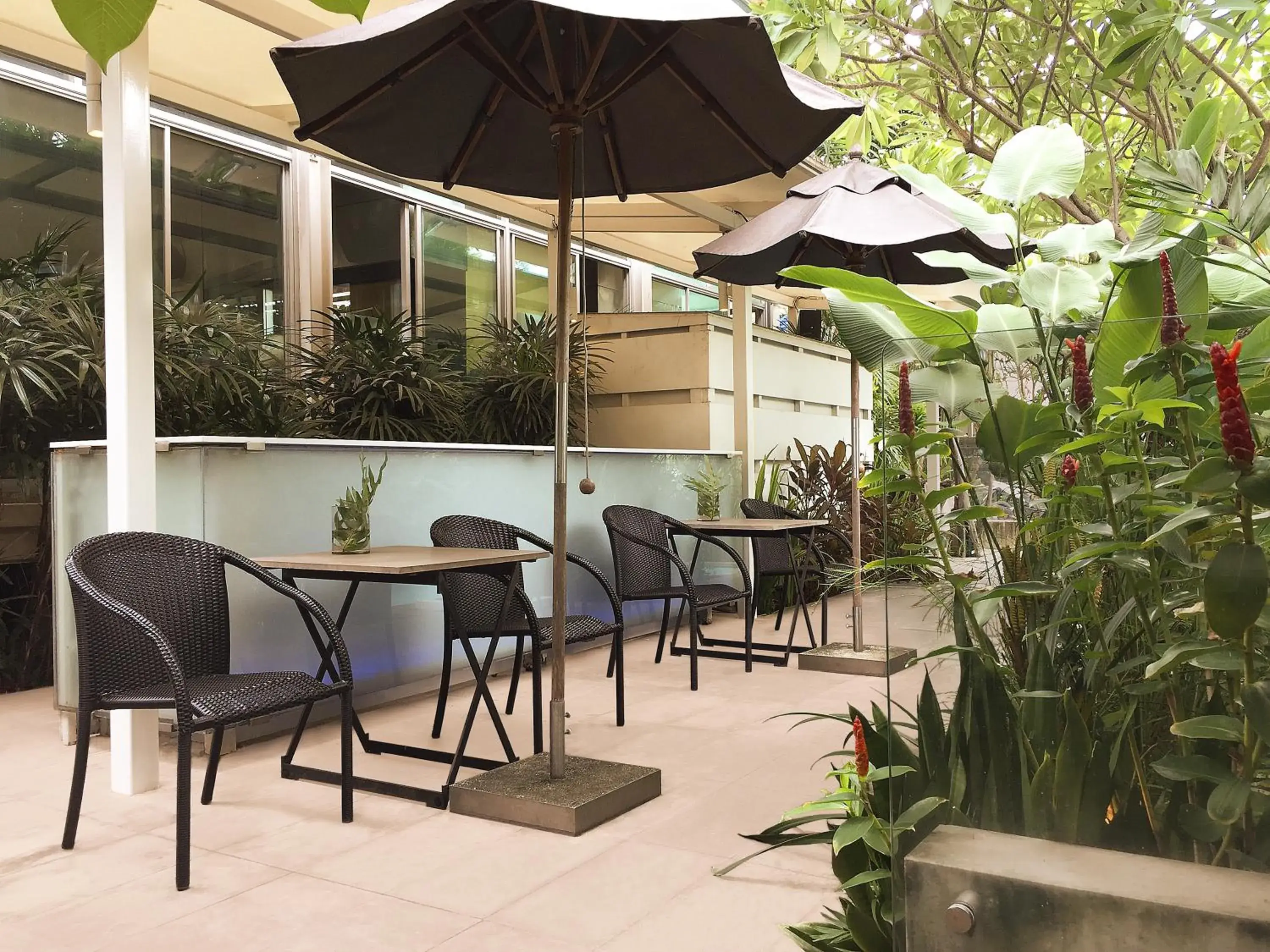 Garden view in Refillnow! Hostel Garden view in Refillnow! Hostel