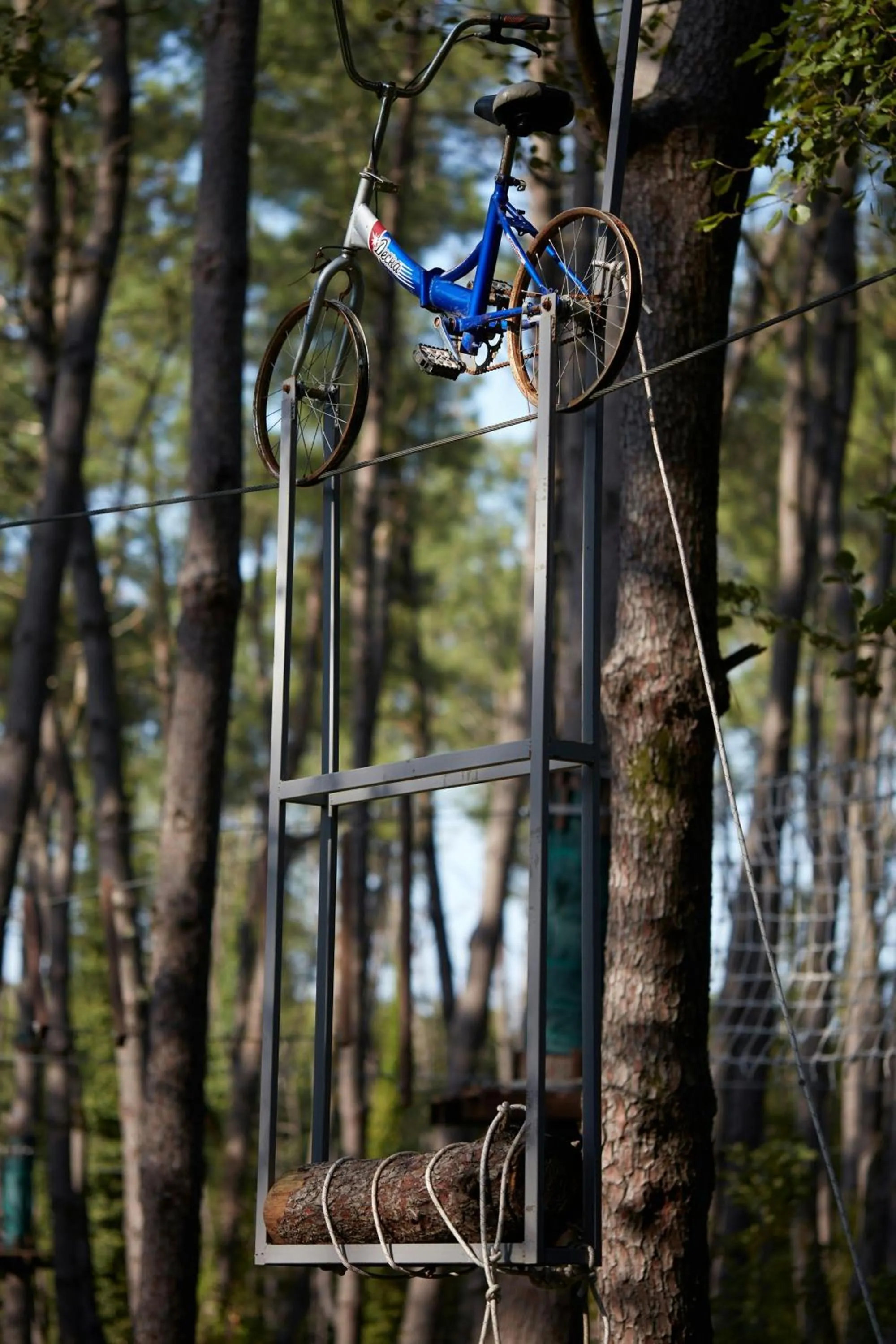 Other in Paragraph Resort & Spa Shekvetili, Autograph Collection