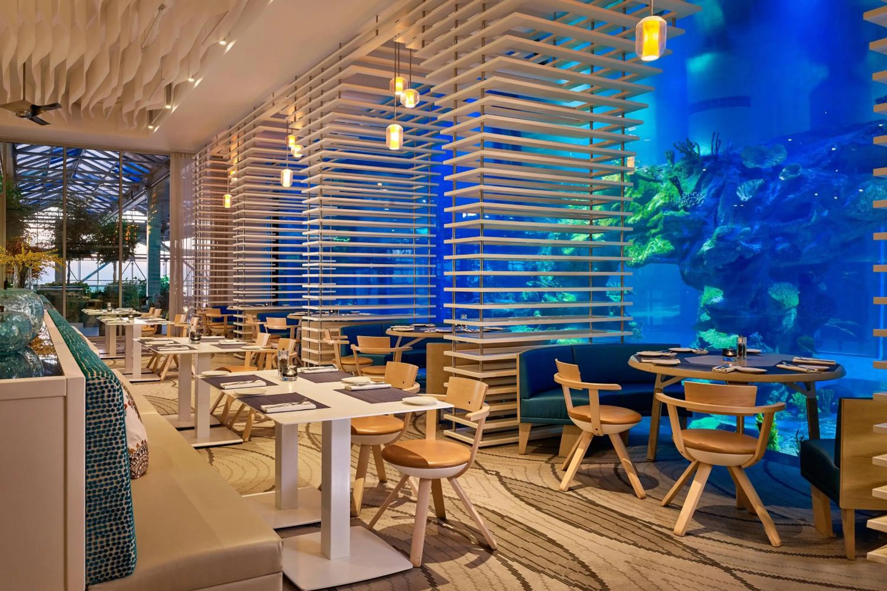 Restaurant/places to eat in Paragraph Resort & Spa Shekvetili, Autograph Collection