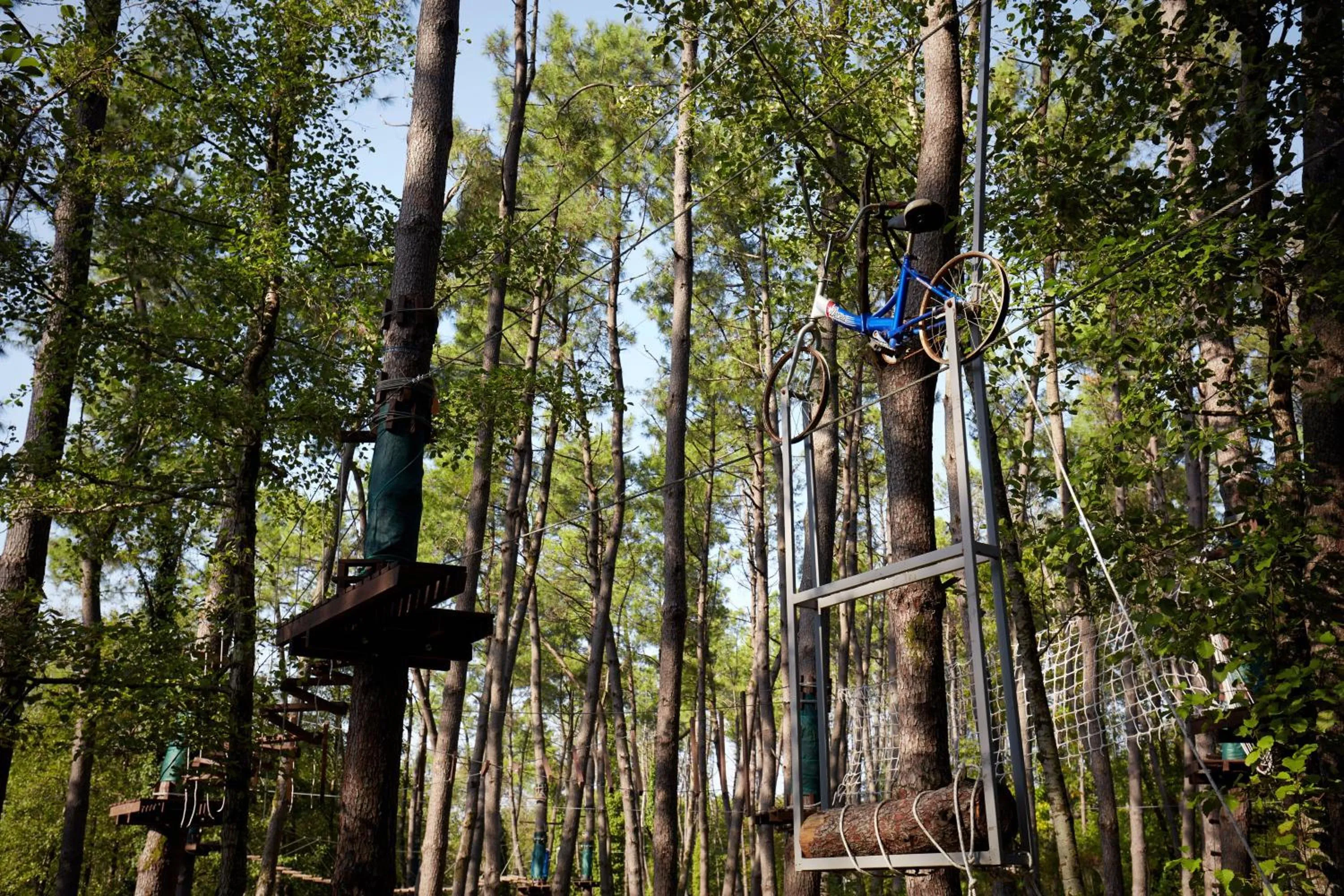 Other in Paragraph Resort & Spa Shekvetili, Autograph Collection