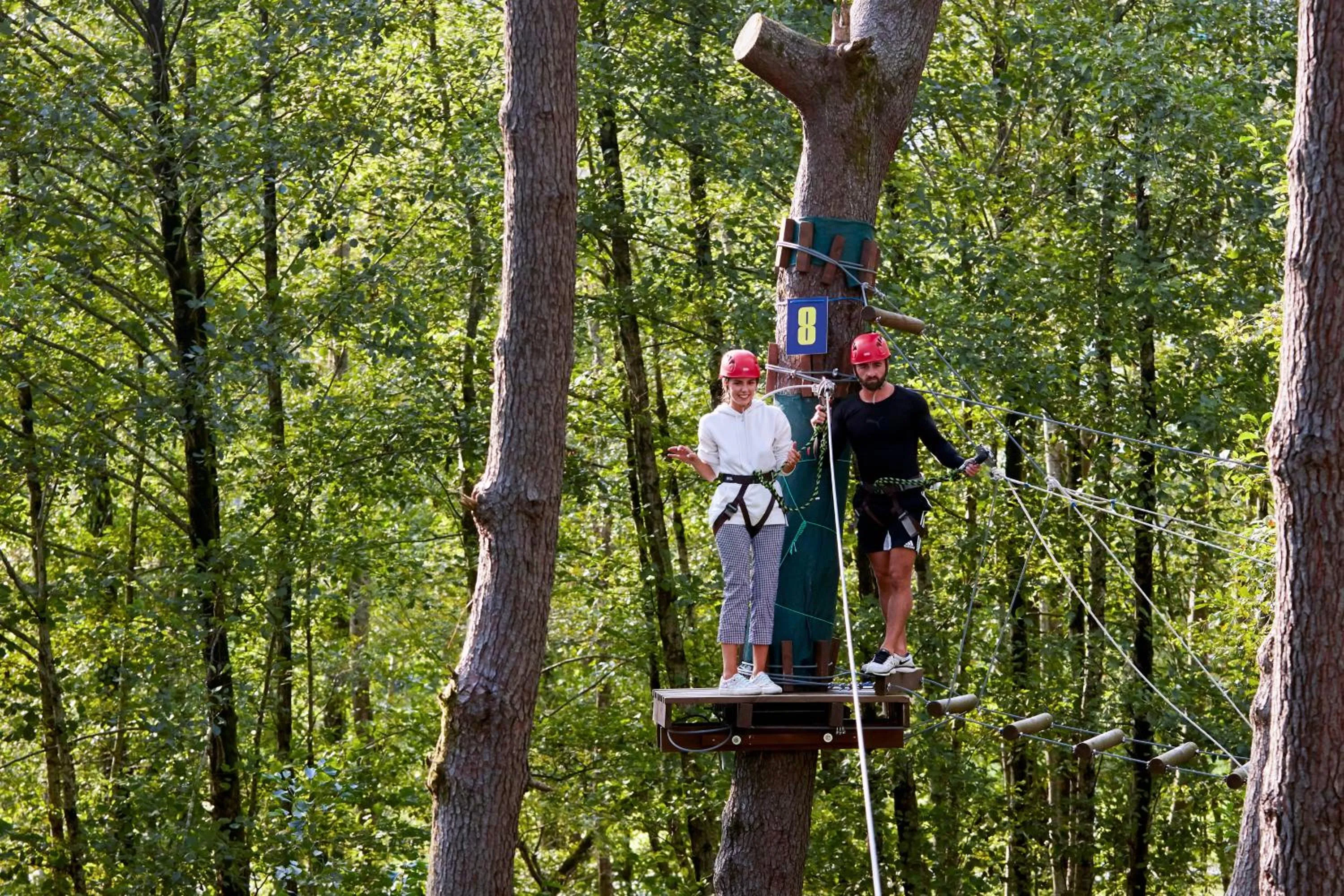 Other in Paragraph Resort & Spa Shekvetili, Autograph Collection