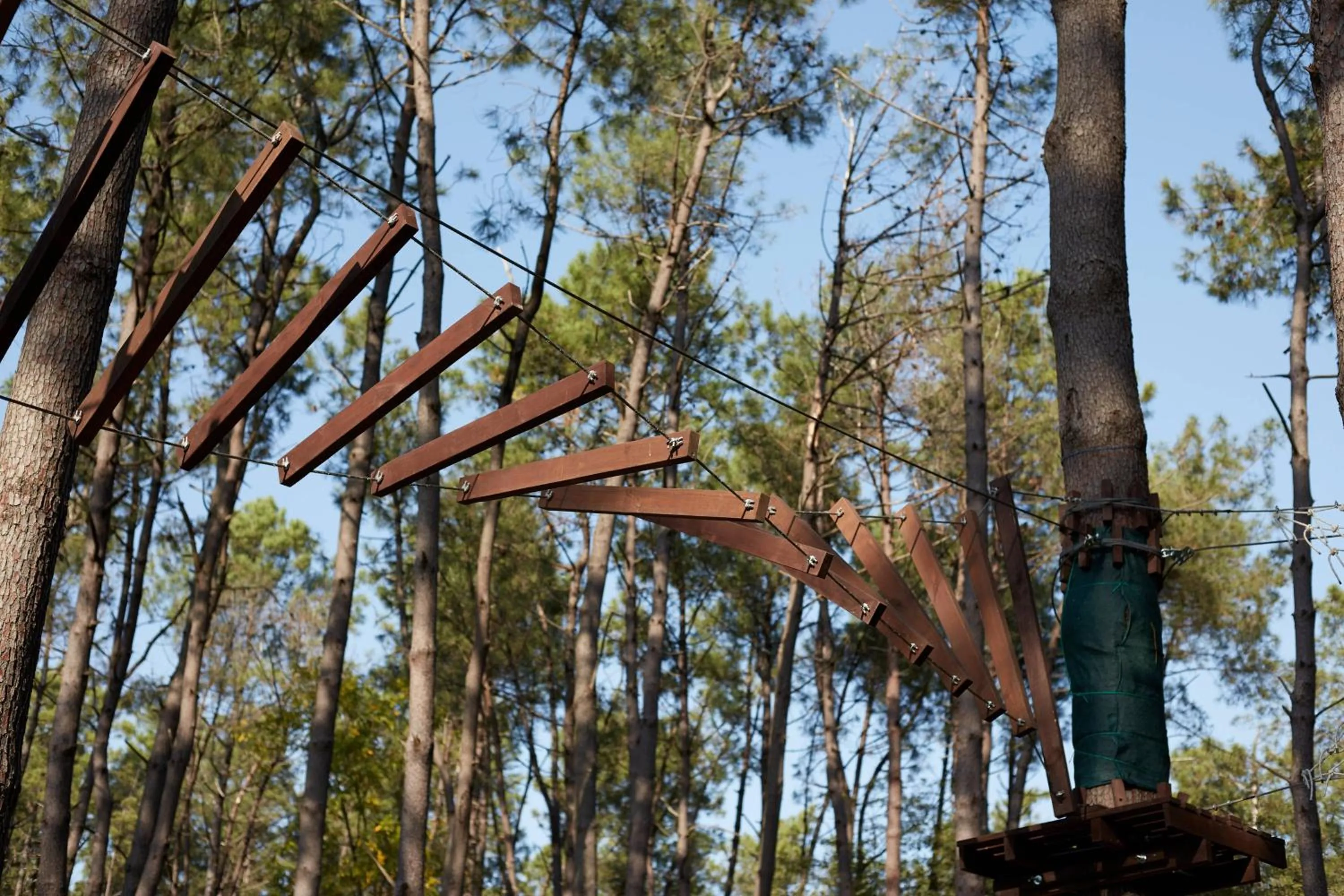 Other in Paragraph Resort & Spa Shekvetili, Autograph Collection