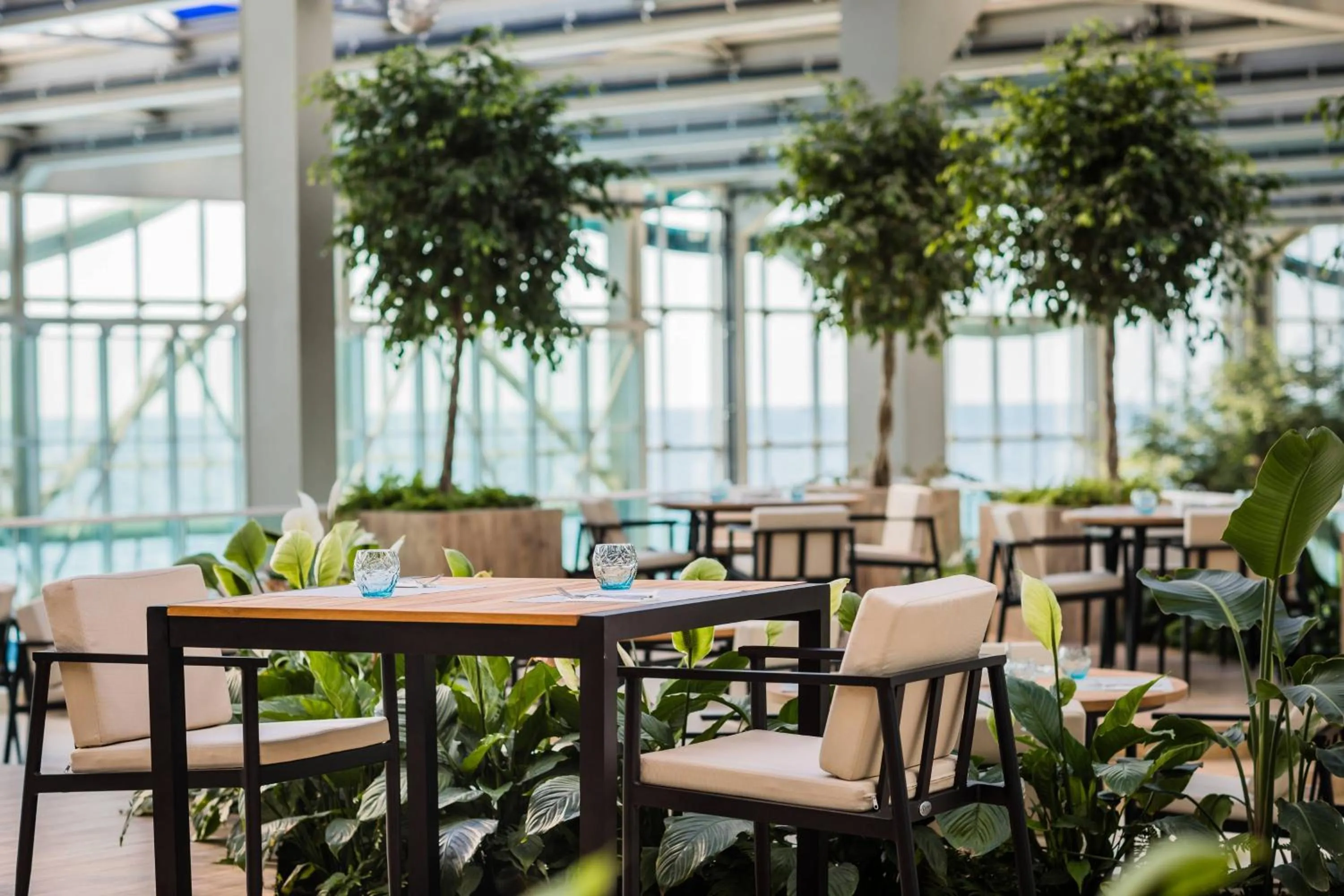 Restaurant/places to eat in Paragraph Resort & Spa Shekvetili, Autograph Collection