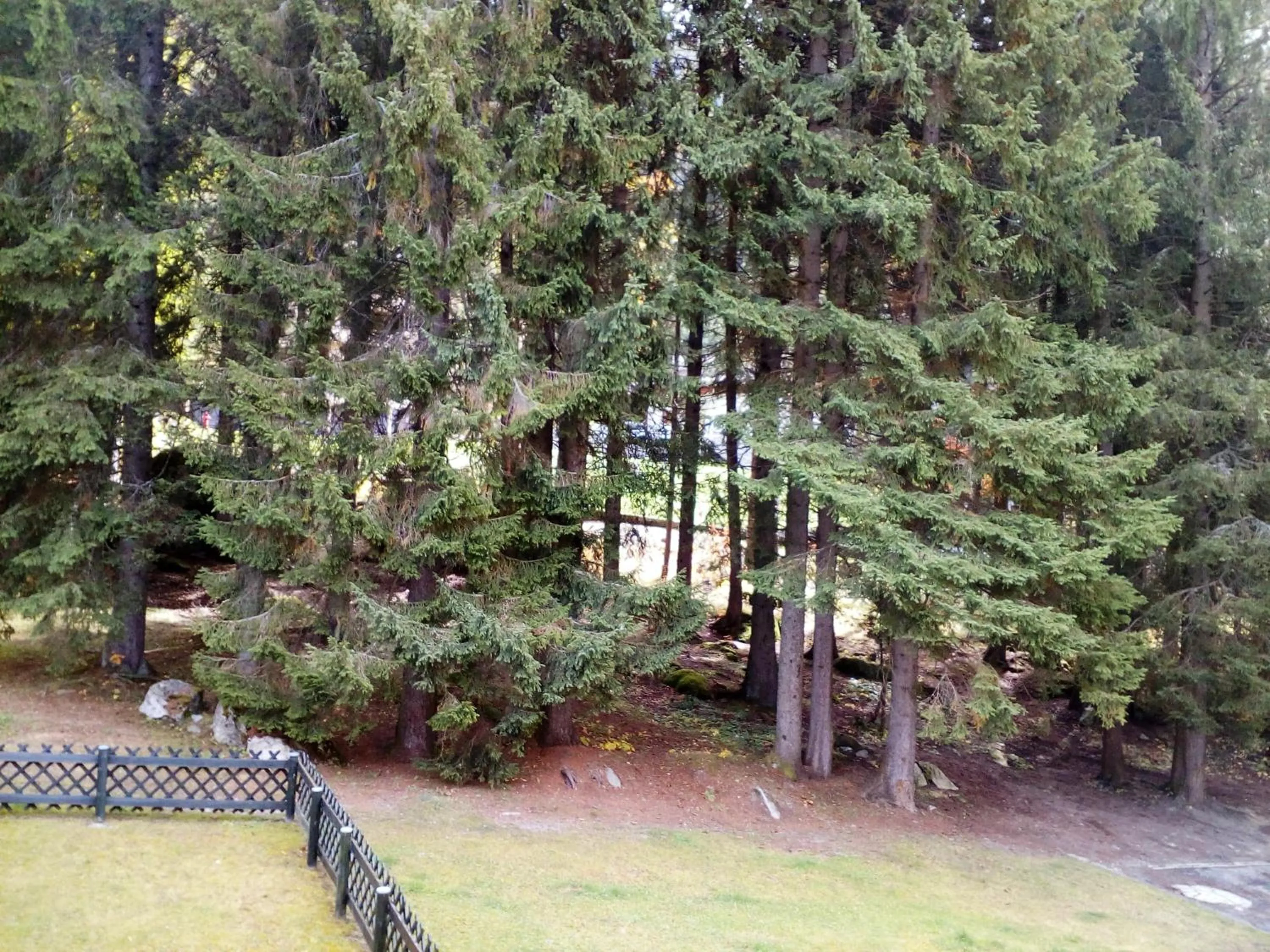 Garden view in Residenza Silvana