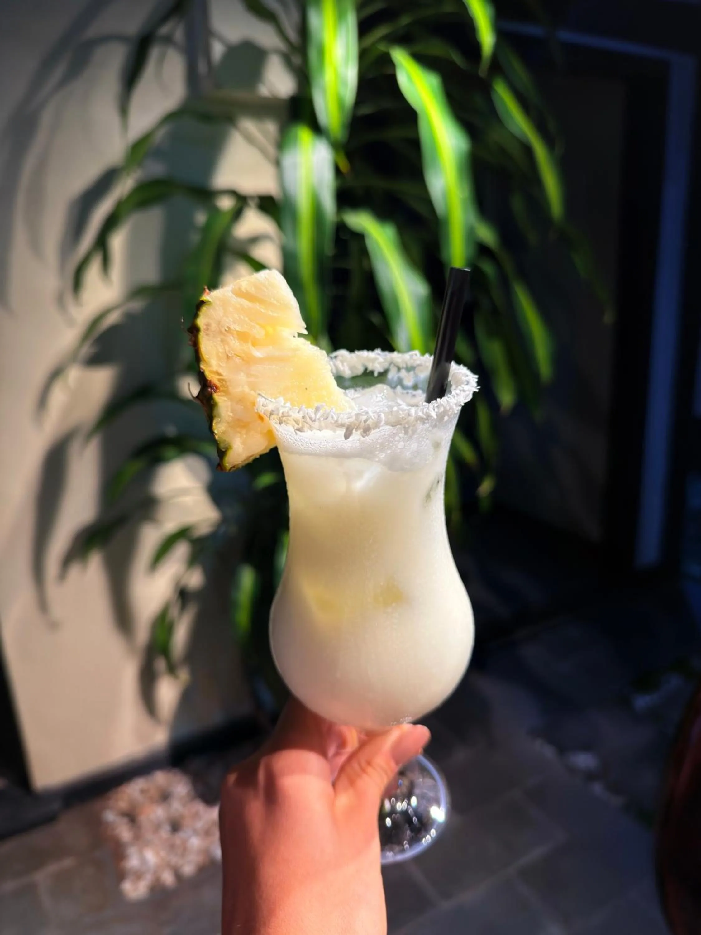 Lounge or bar in Pousada Sonho Verde