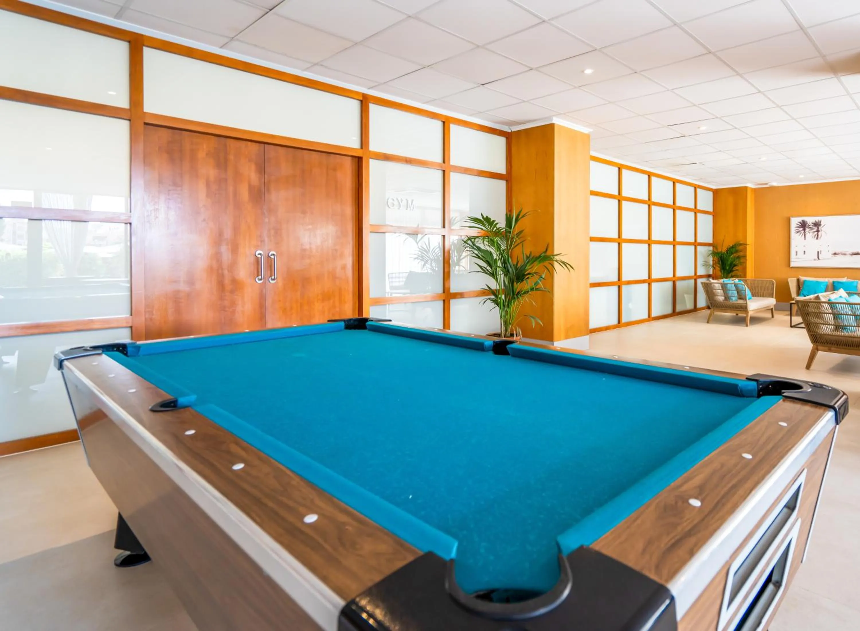 Billiard in Club Can Bossa