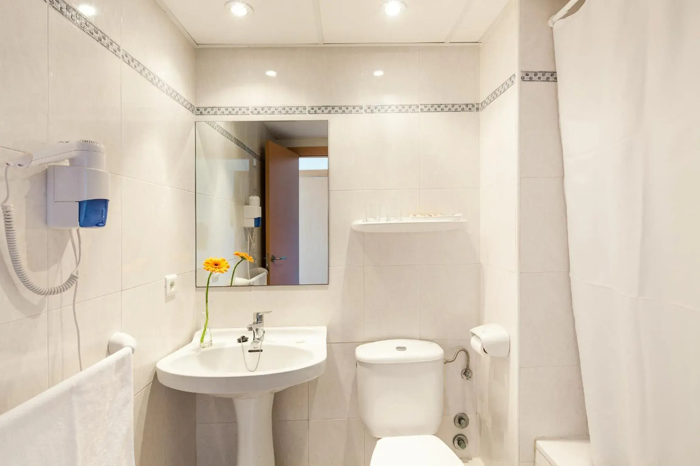 Single Room - single occupancy in Club Can Bossa Single Room - single occupancy in Club Can Bossa