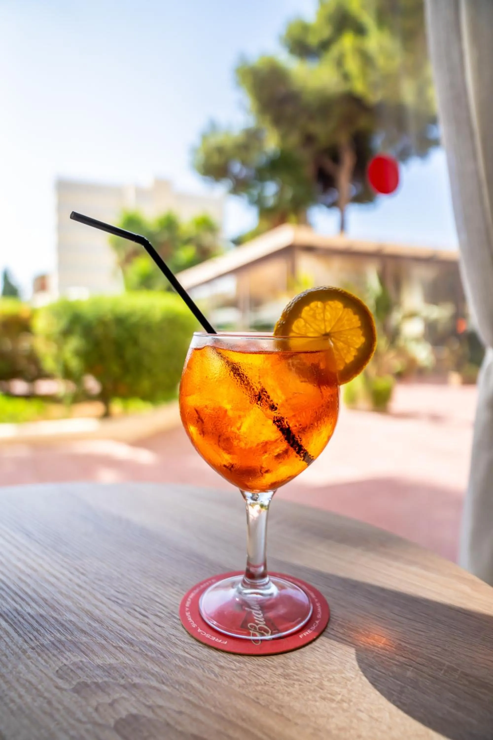 Day in Club Can Bossa