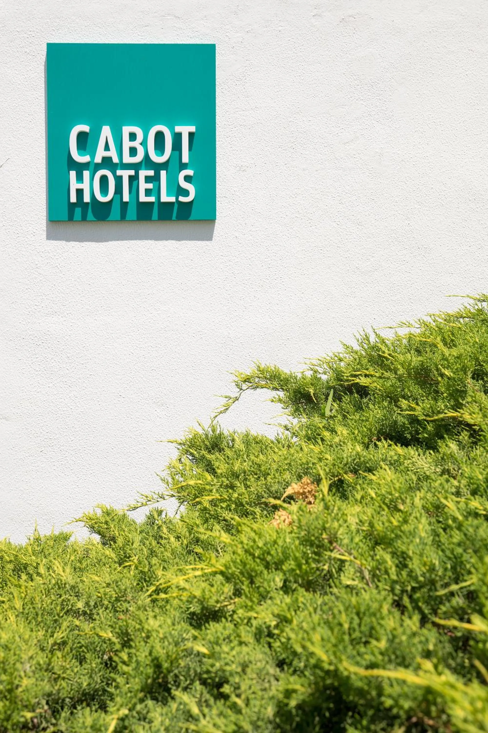 Decorative detail in Cabot Hobby Club Apartments