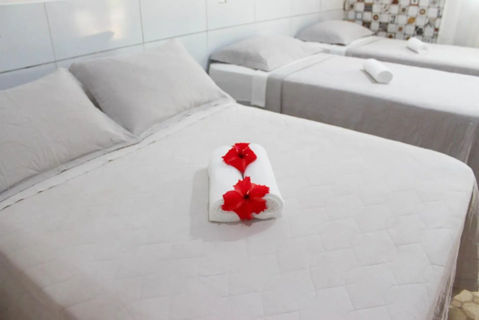 Double Room in Pousada Leão Marinho Double Room in Pousada Leão Marinho