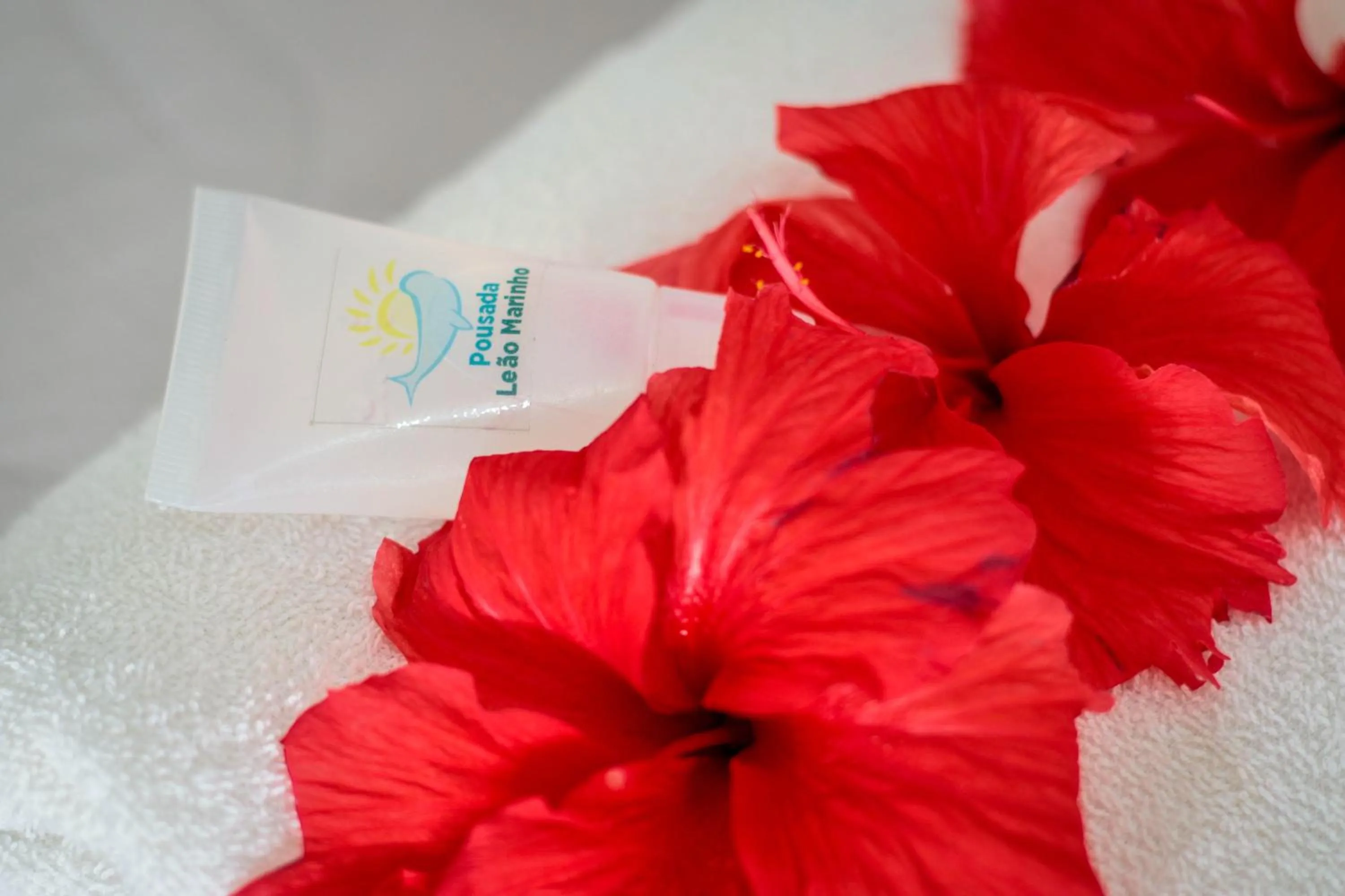 Bed in Pousada Leão Marinho