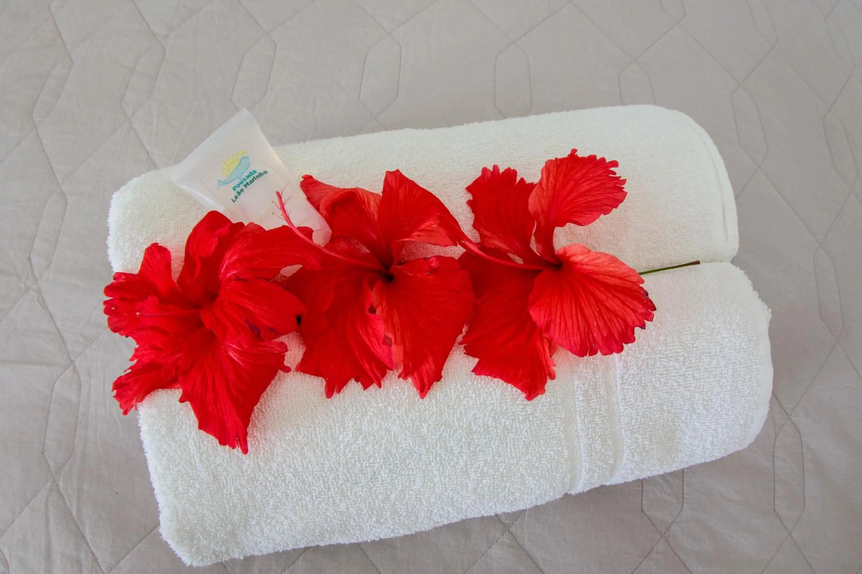 Bed in Pousada Leão Marinho