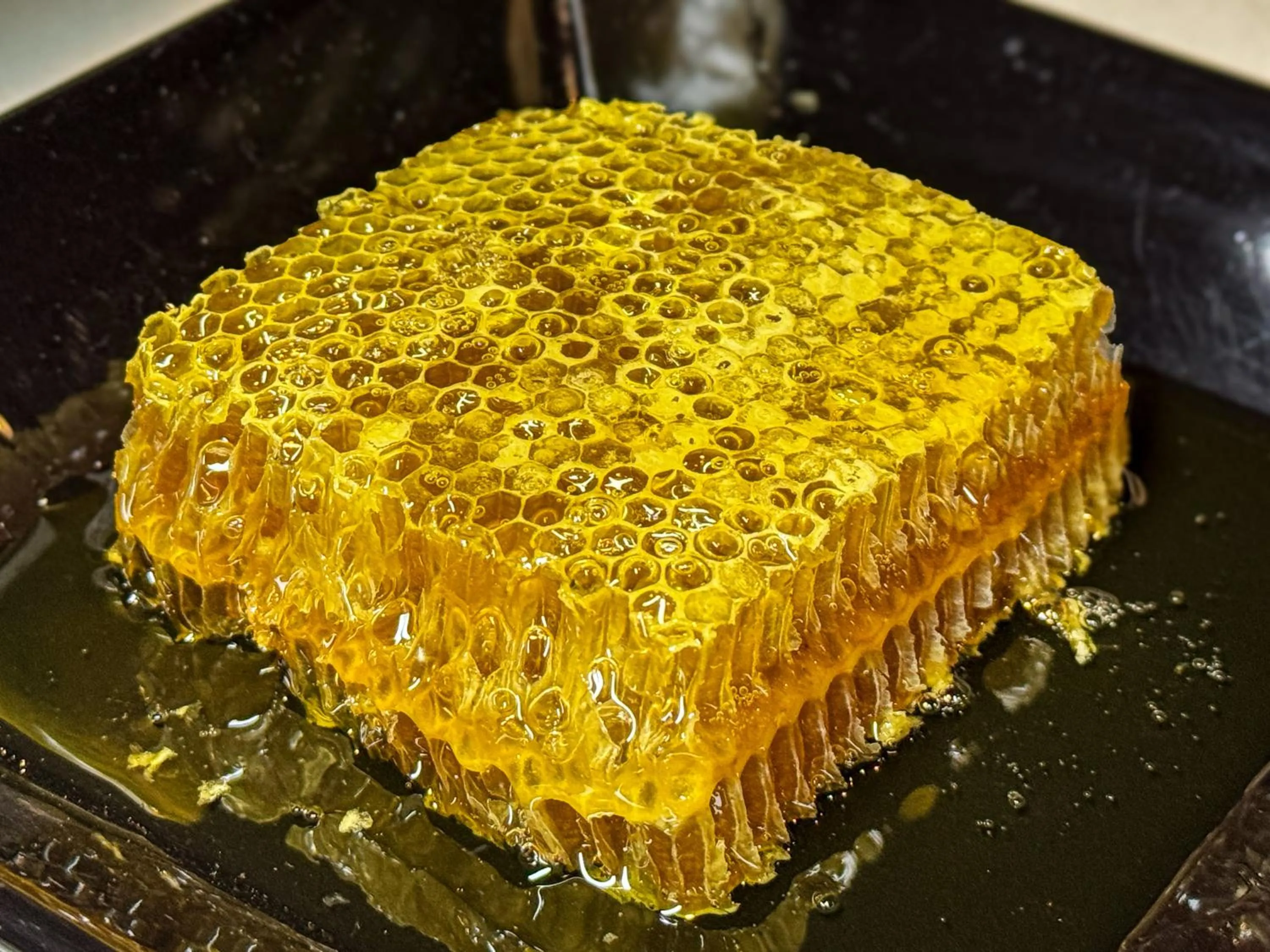 Hotel Tissiani Canela