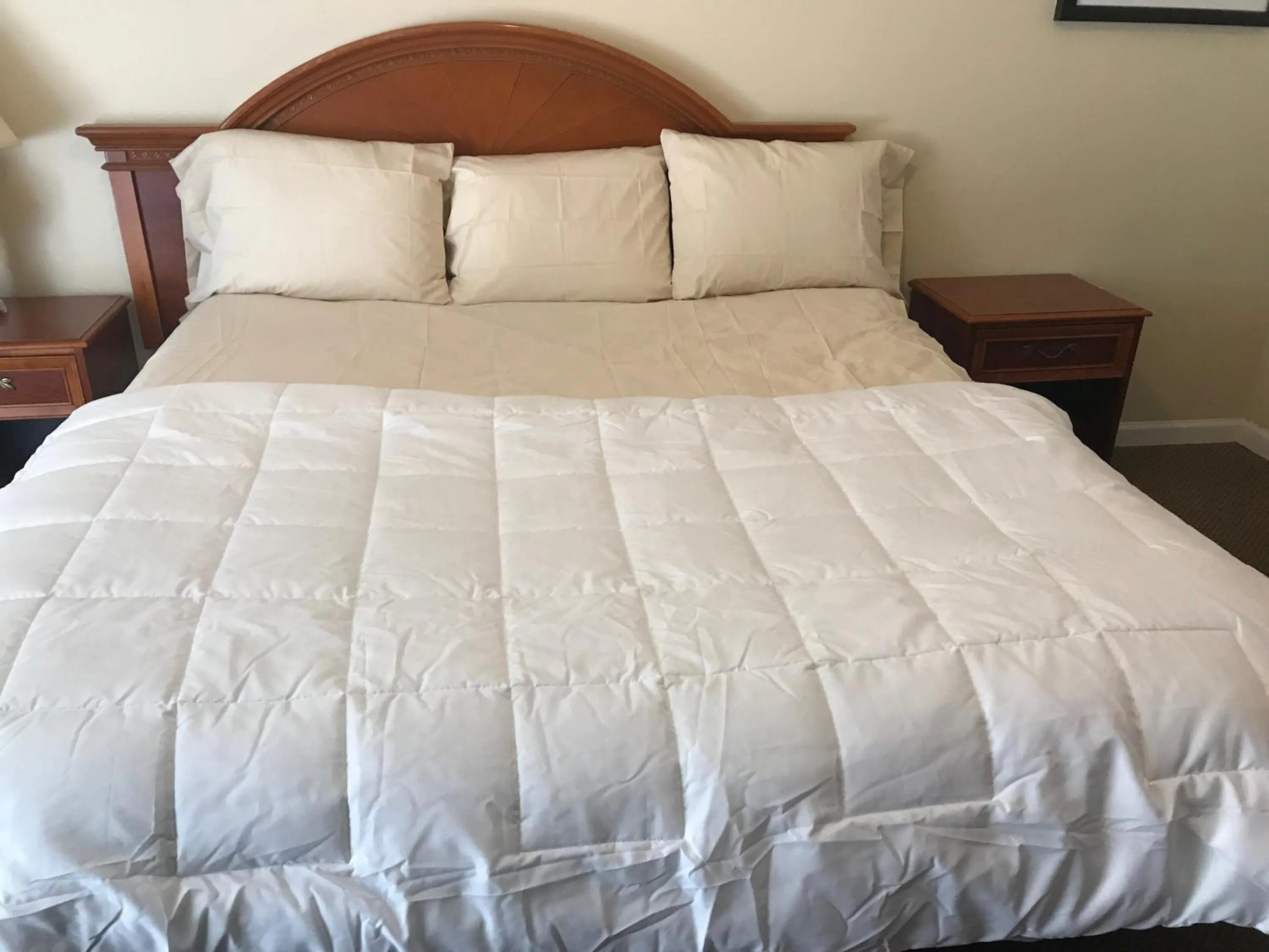 Red Carpet Inn, Alexandria