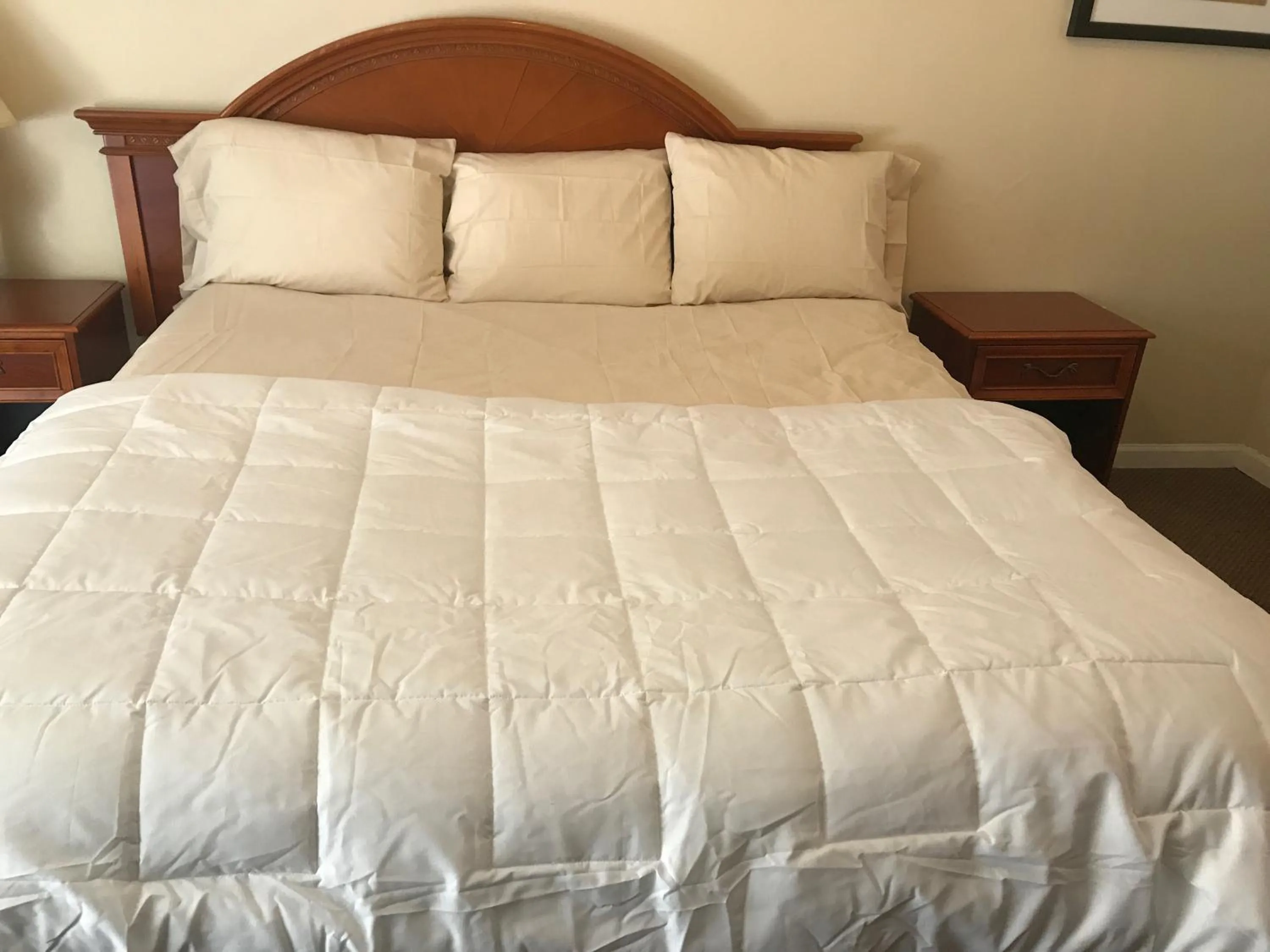 Red Carpet Inn, Alexandria