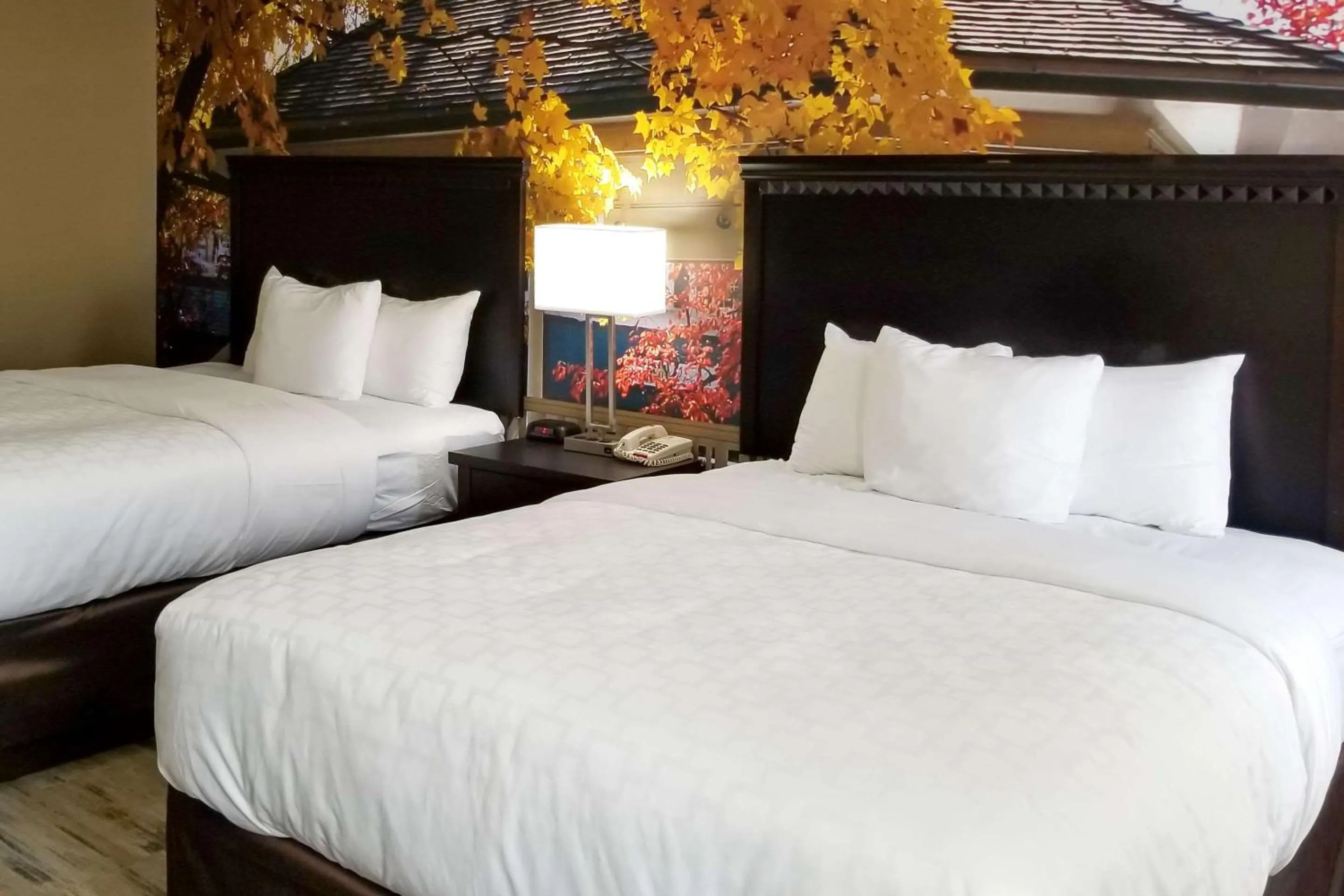 Bedroom in SureStay Plus by Best Western Corydon