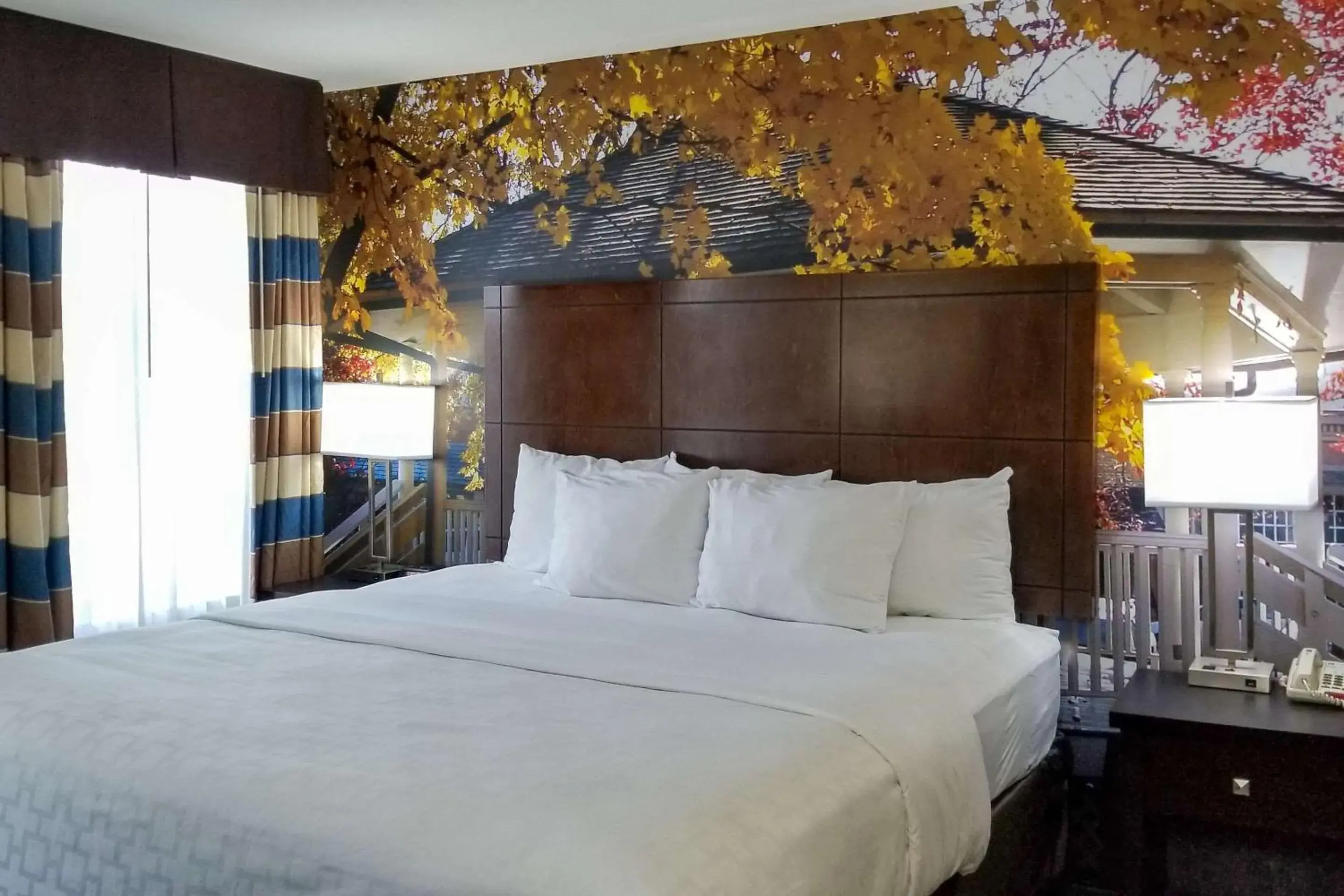 Bedroom in SureStay Plus by Best Western Corydon Bedroom in SureStay Plus by Best Western Corydon