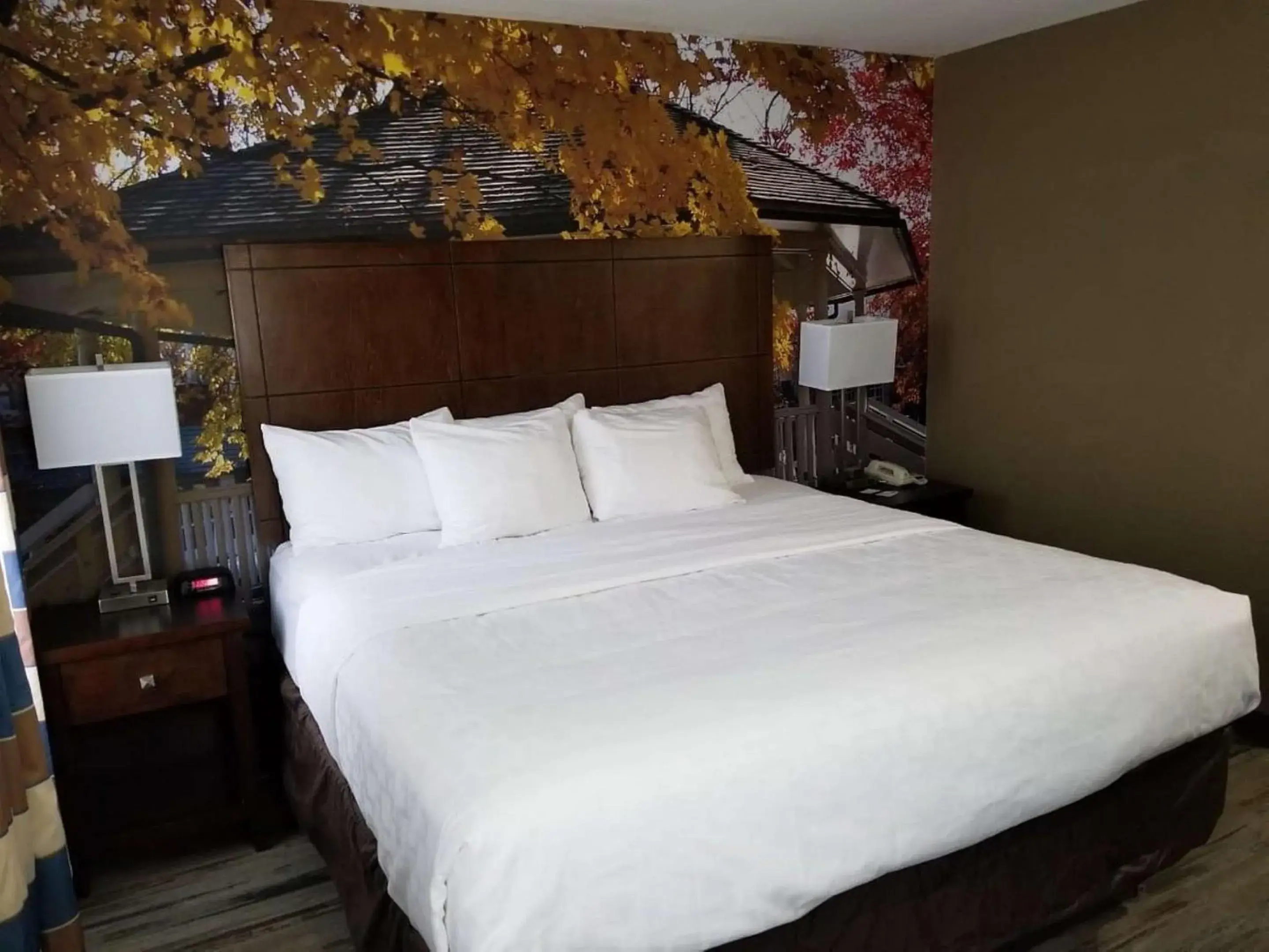 Bedroom, Bed in SureStay Plus by Best Western Corydon Bedroom, Bed in SureStay Plus by Best Western Corydon