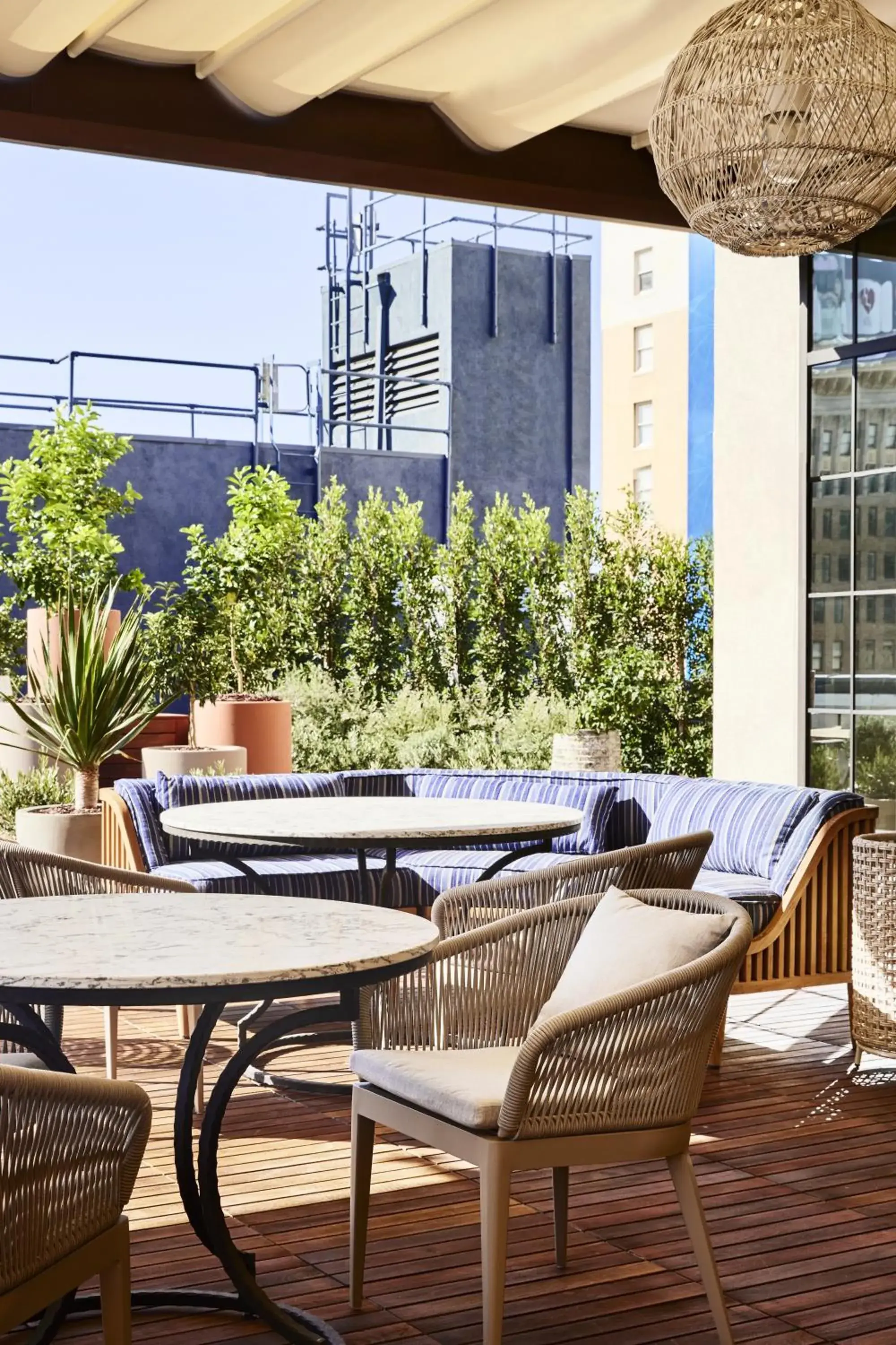 Restaurant/places to eat in The Aster Restaurant/places to eat in The Aster