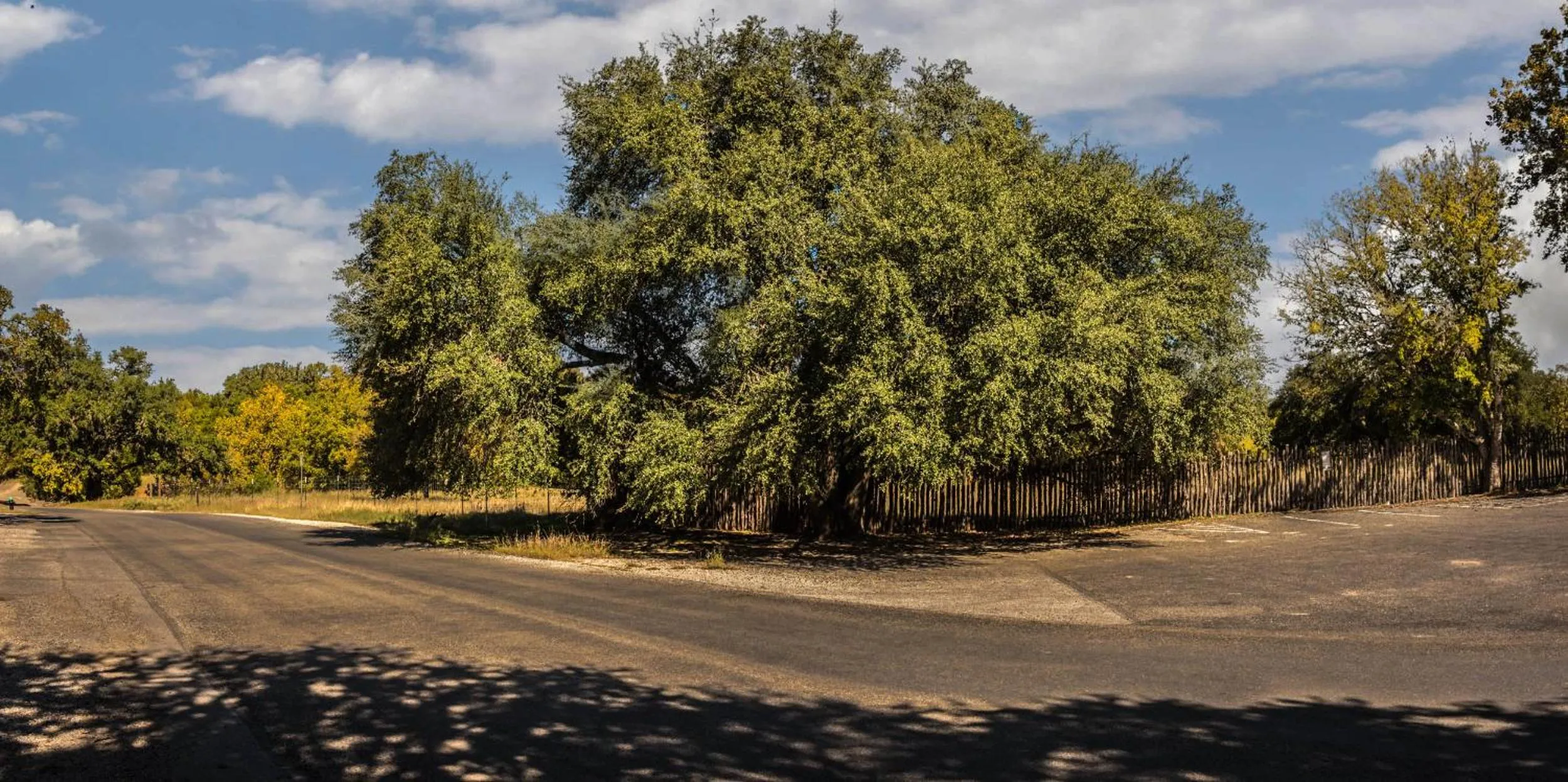 Spring in Cypress Fairway Village