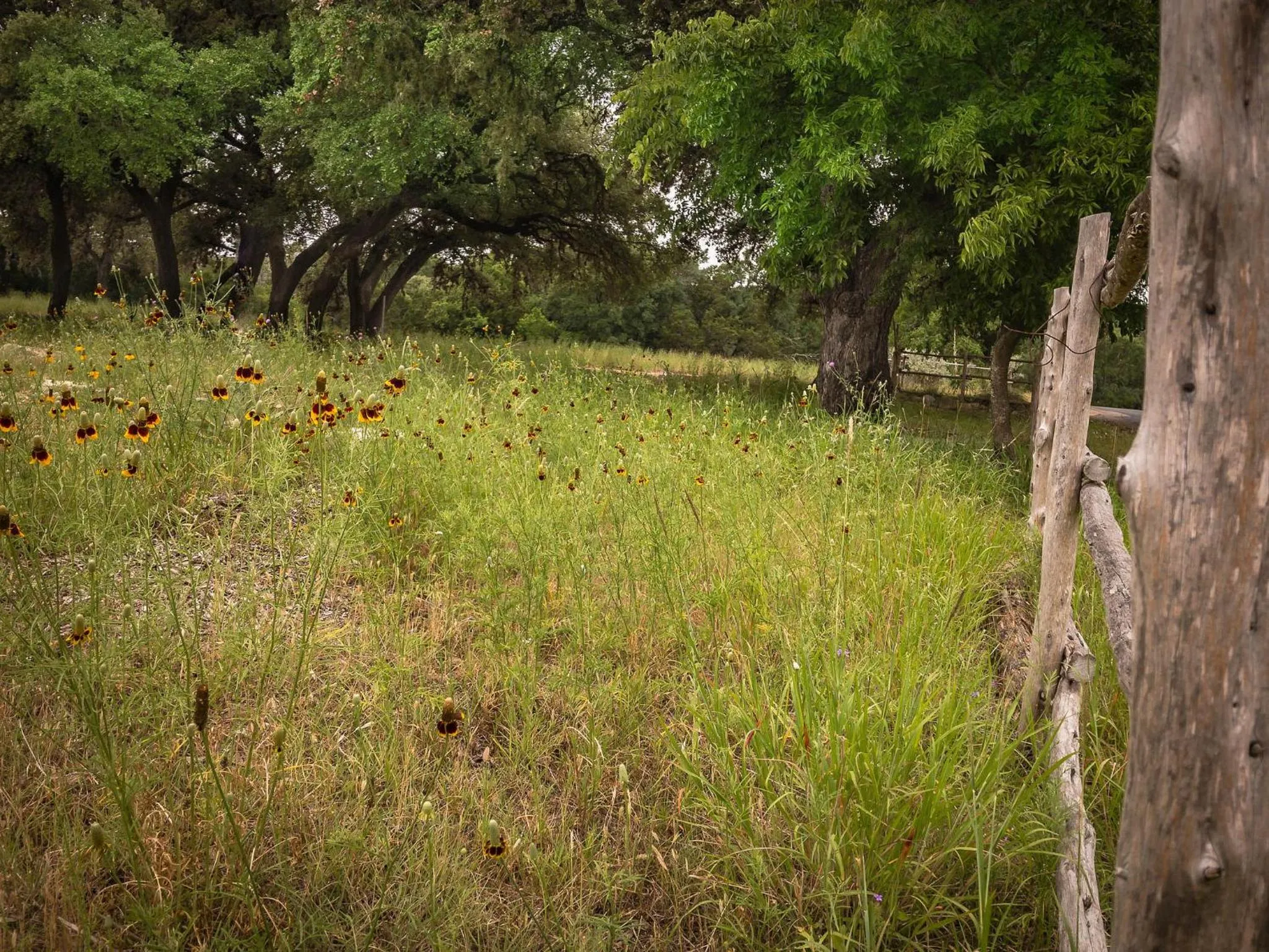 Natural landscape in Cypress Fairway Village