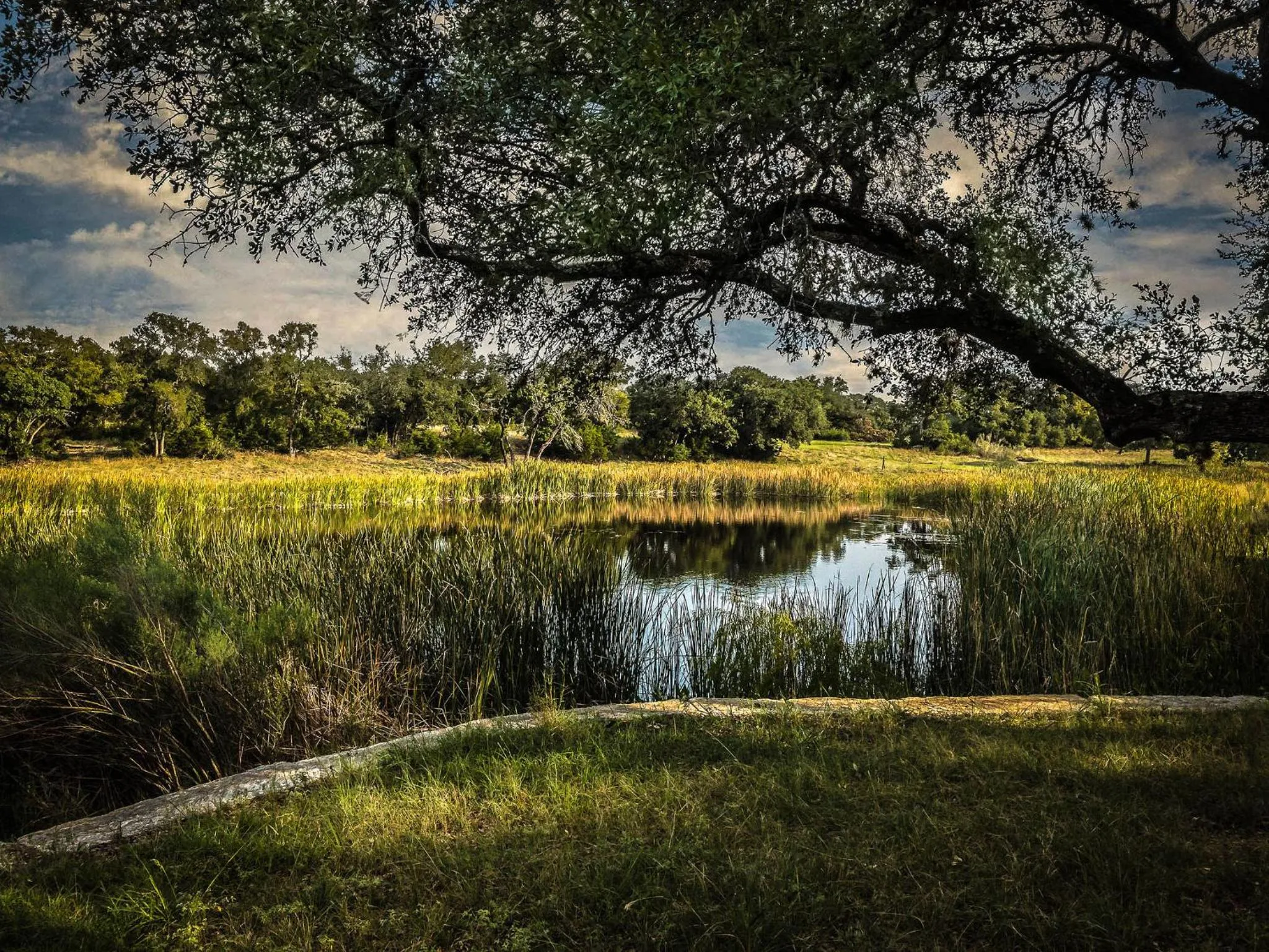 Nearby landmark in Cypress Fairway Village