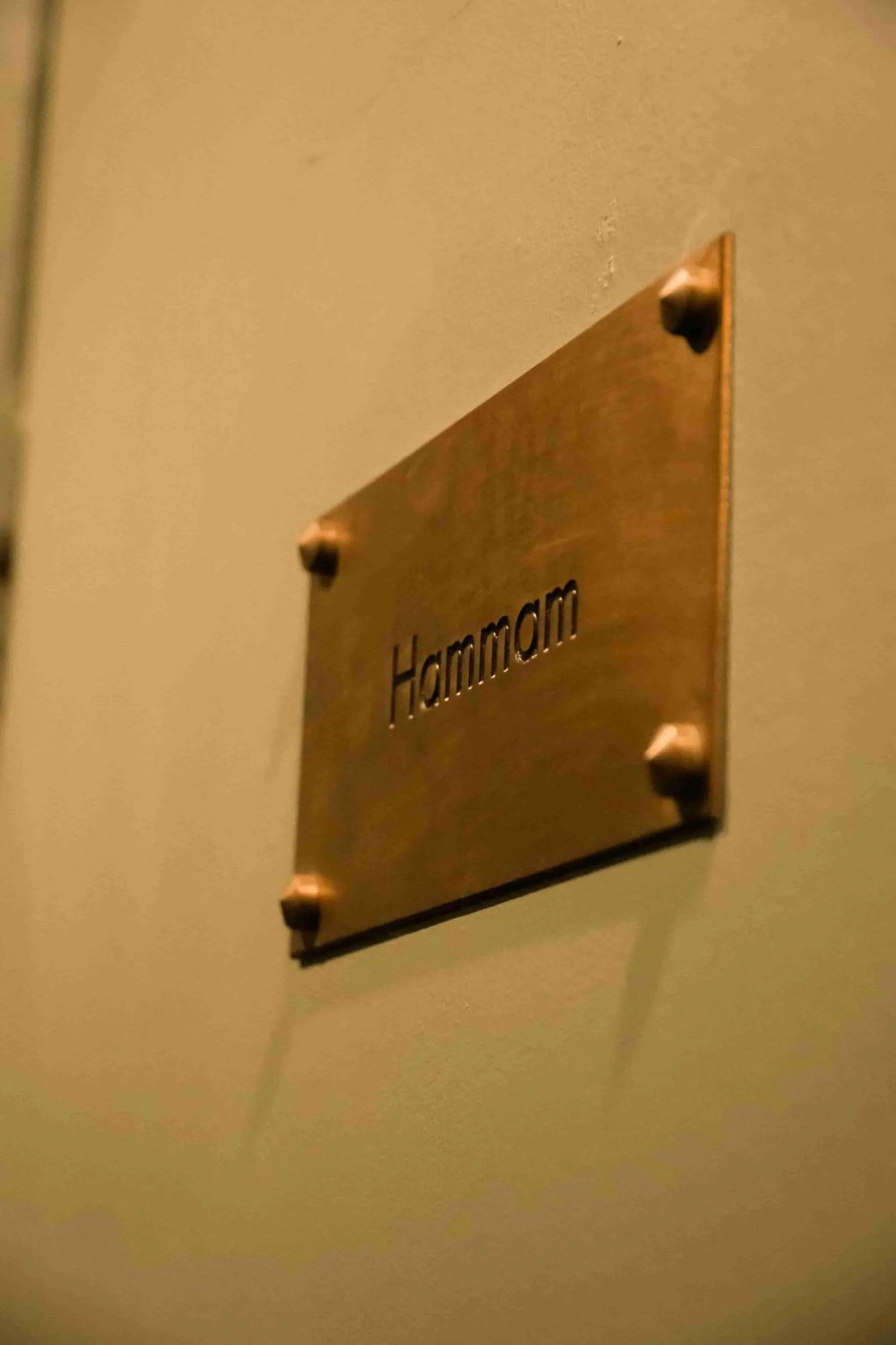 Steam room in Hôtel La Nouvelle République & Hammam