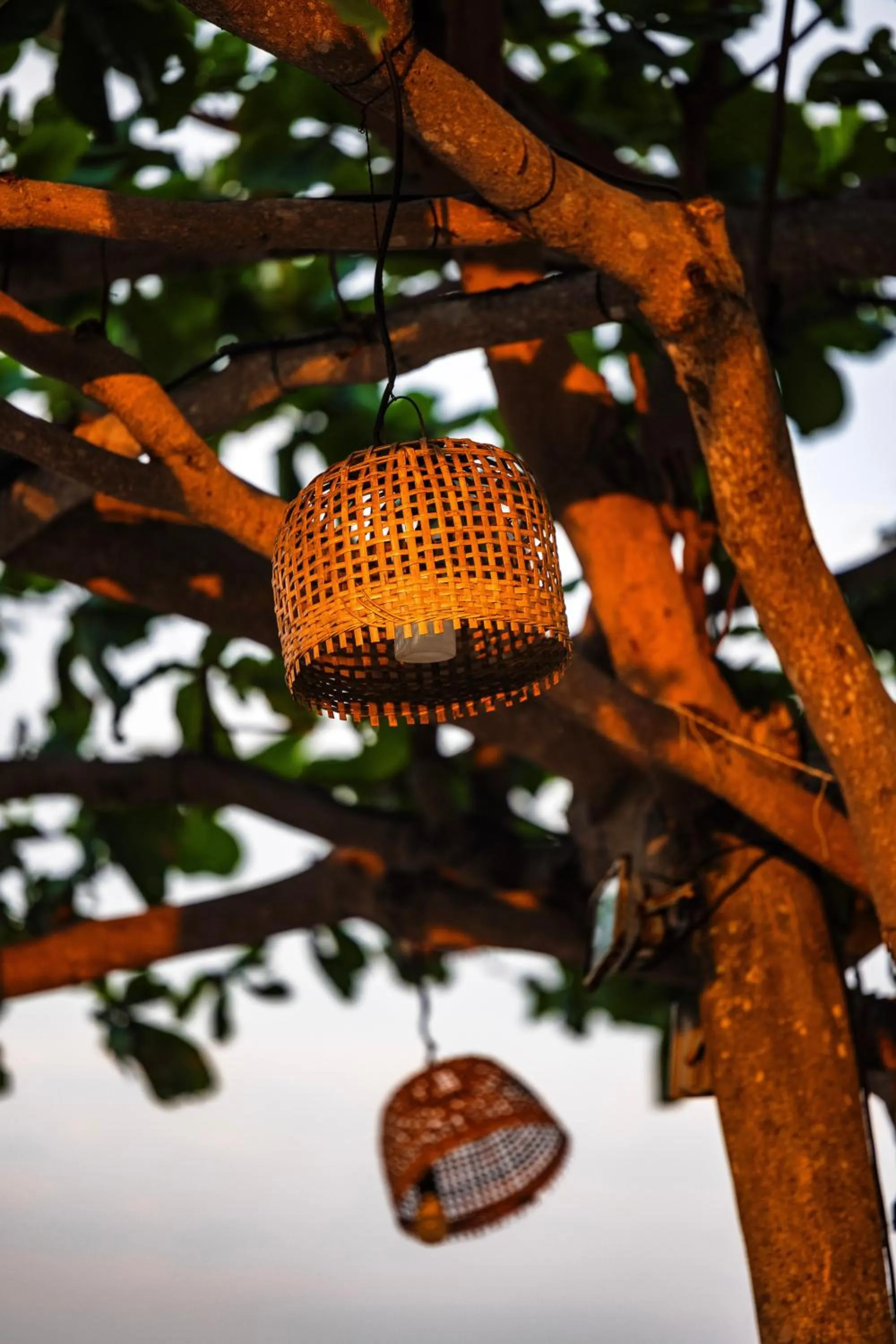 Day in Bay Beach Resort