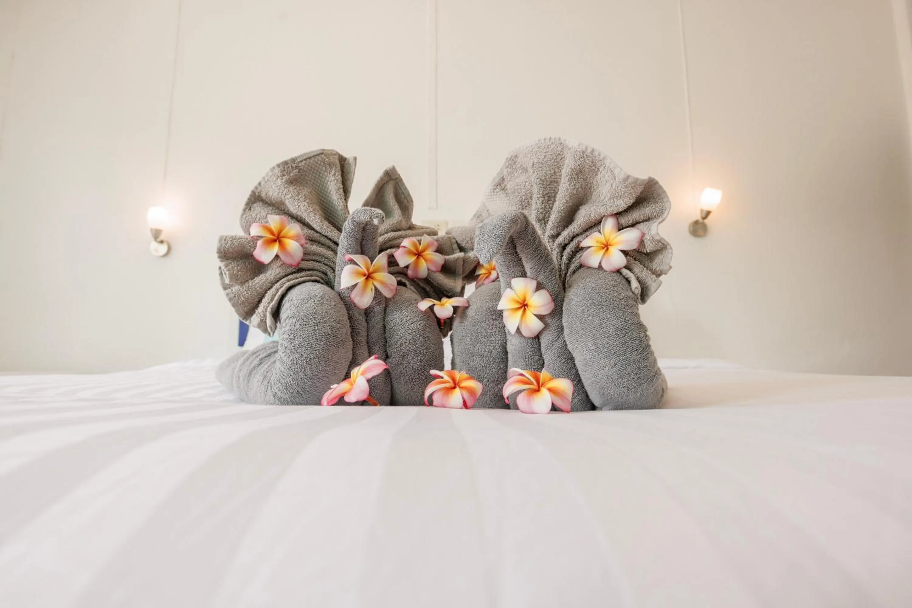 Bed in Bay Beach Resort