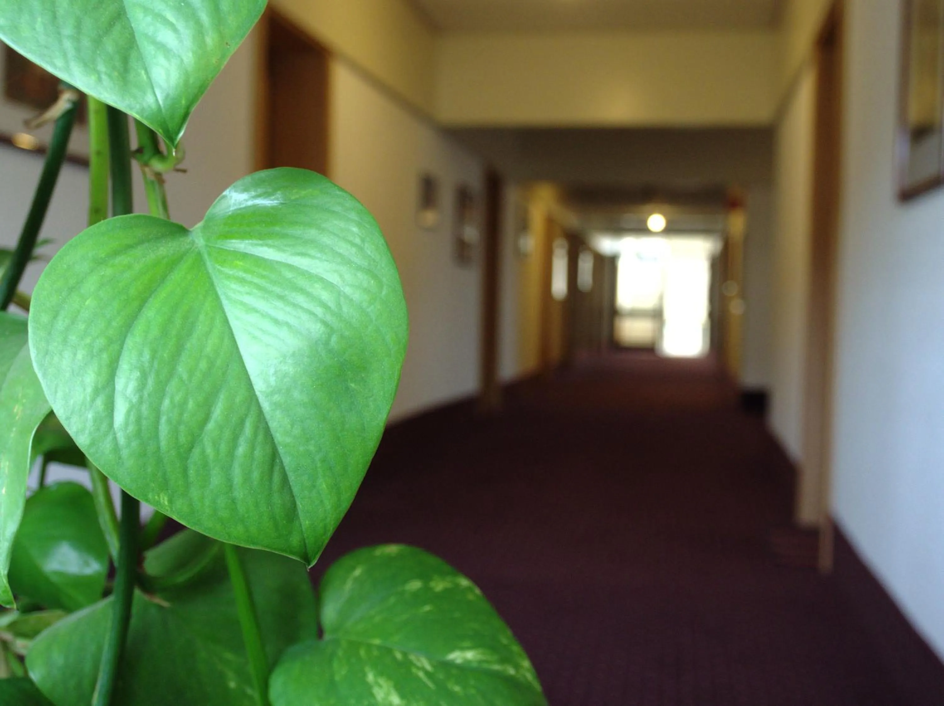 Other in Hotel im Park