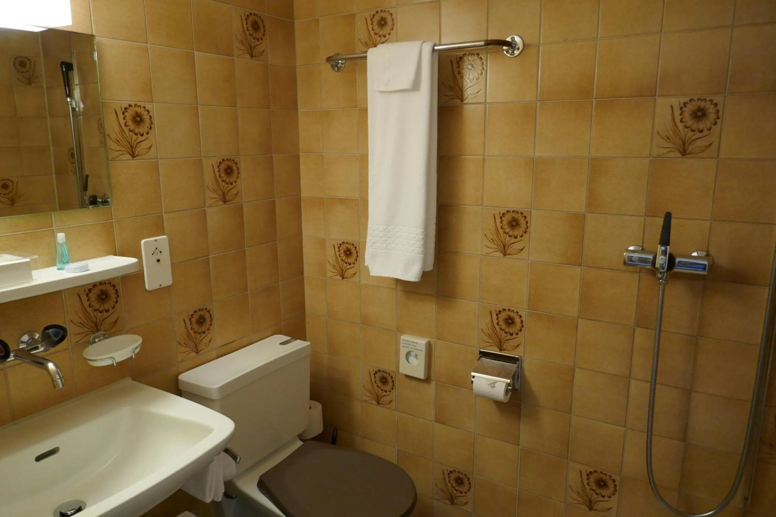 Shower in Hotel Terminus Brugg