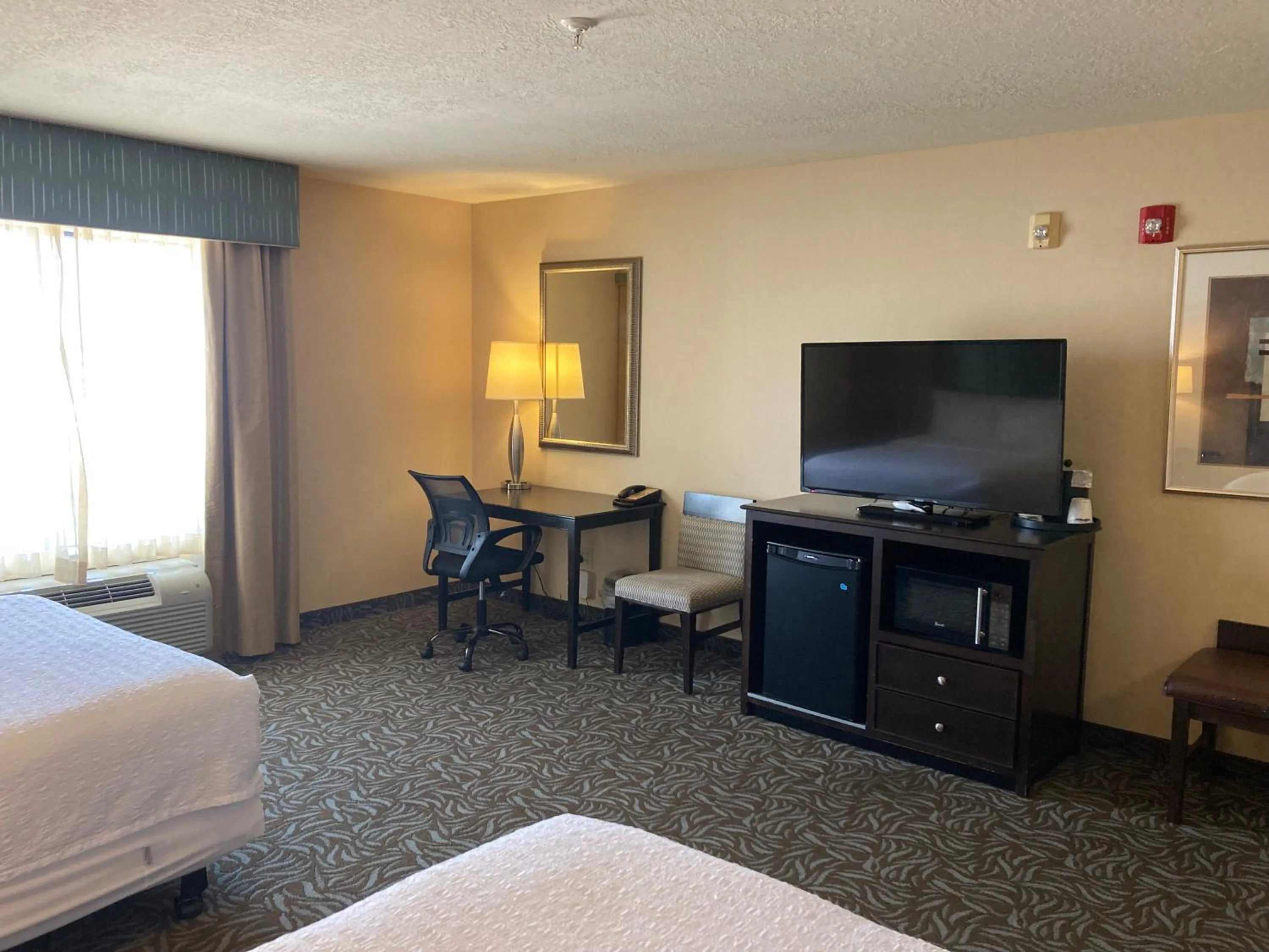 Bedroom, Bed in Hampton Inn & Suites Carlsbad