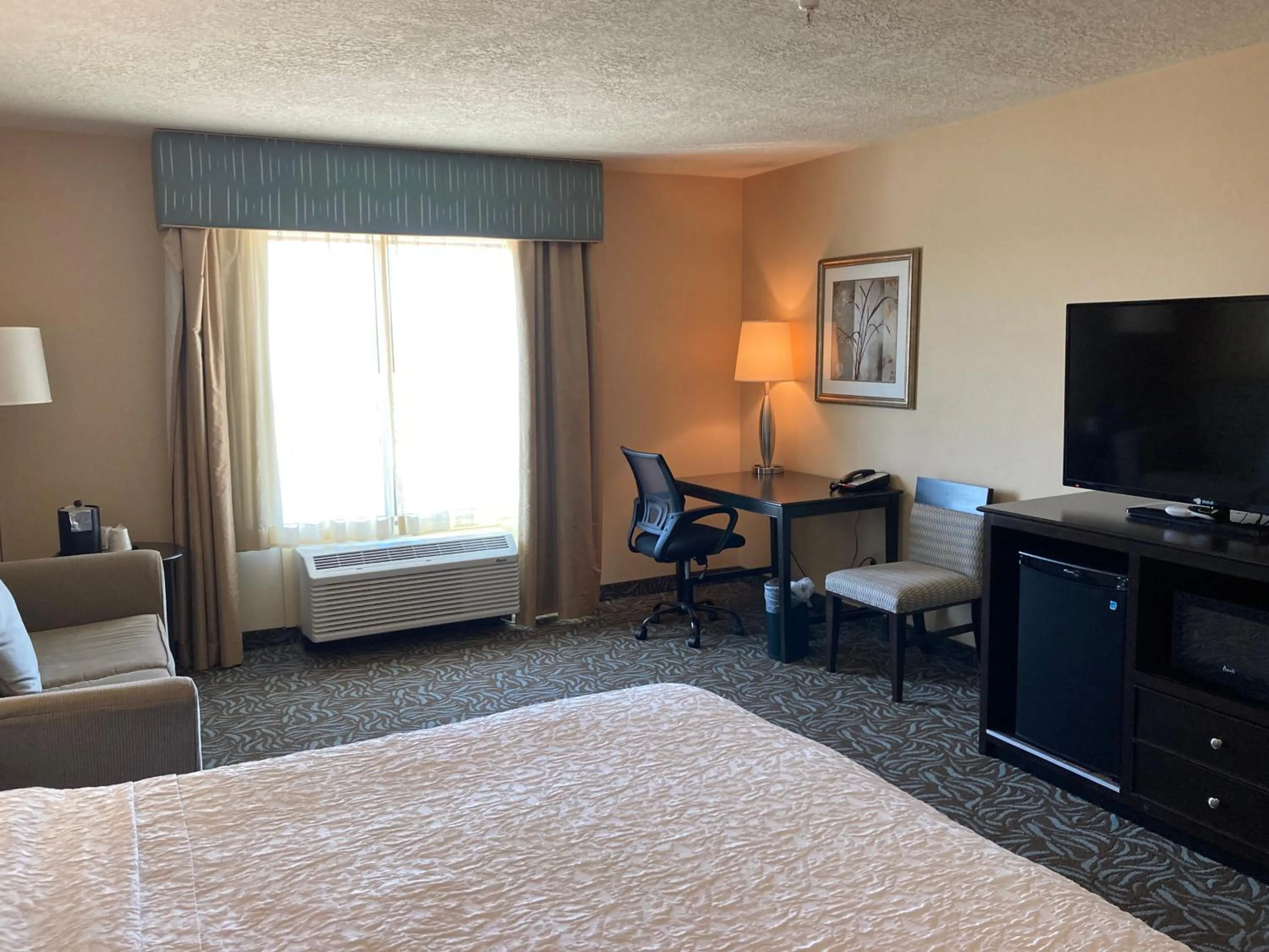 Seating area, Bed in Hampton Inn & Suites Carlsbad