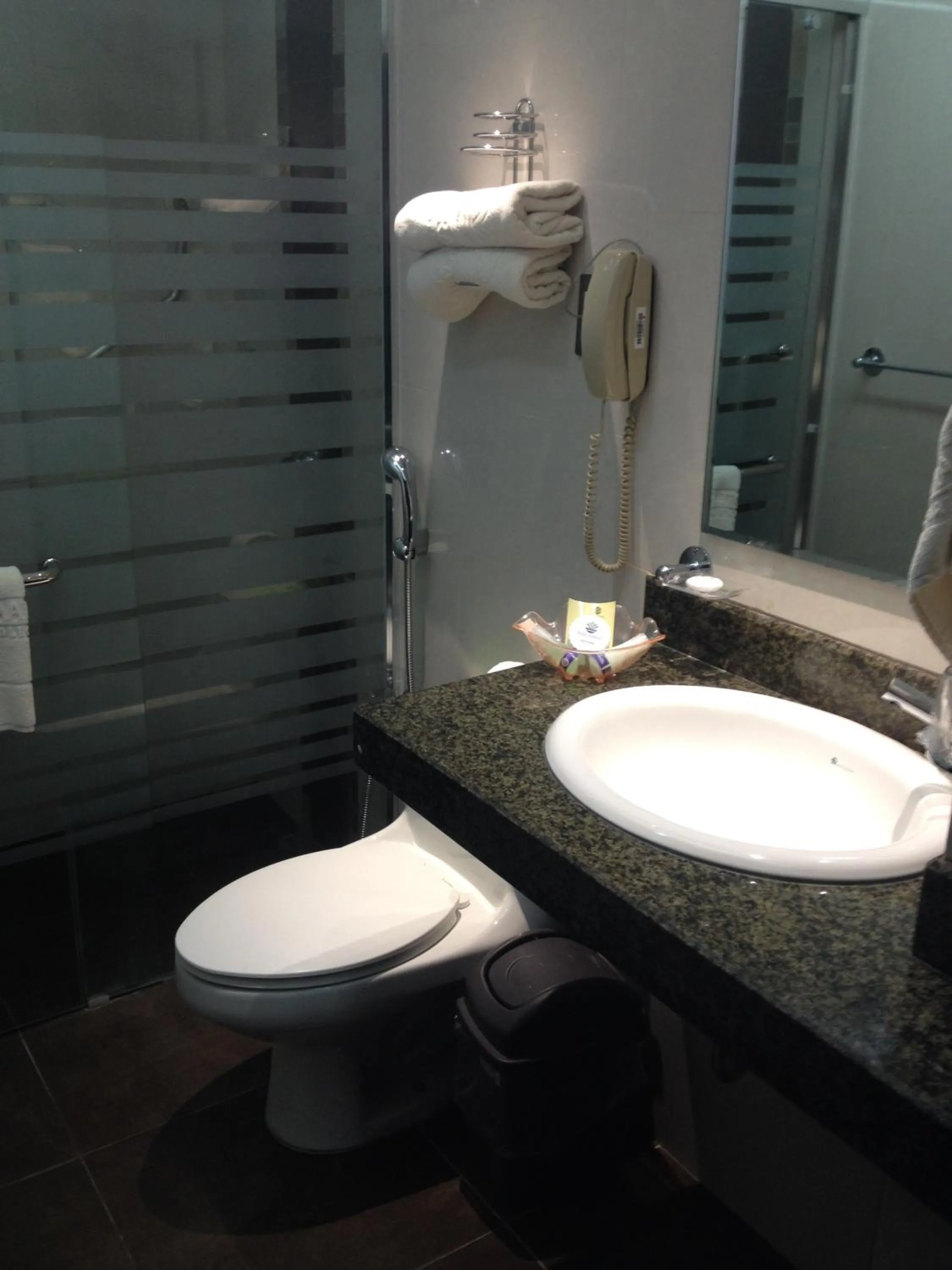 Bathroom in Hotel Ramada