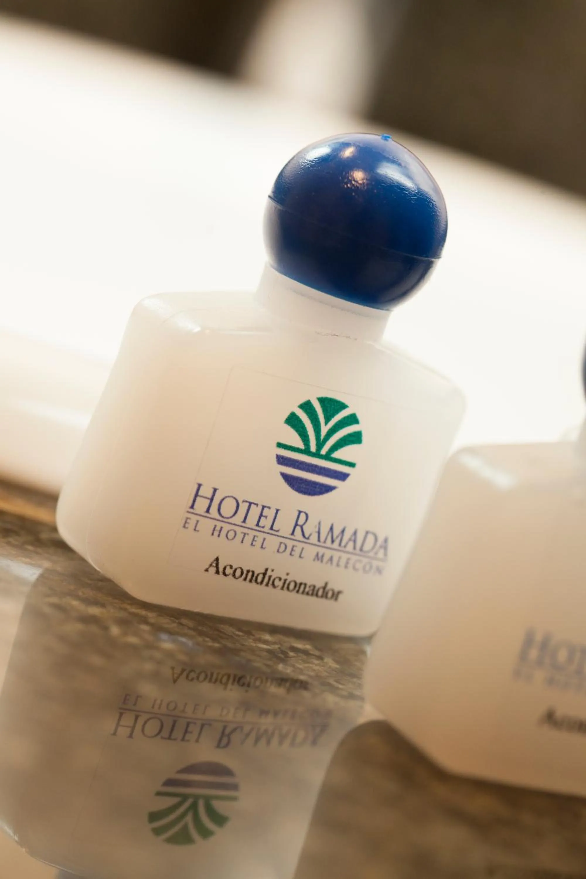 Property logo or sign in Hotel Ramada