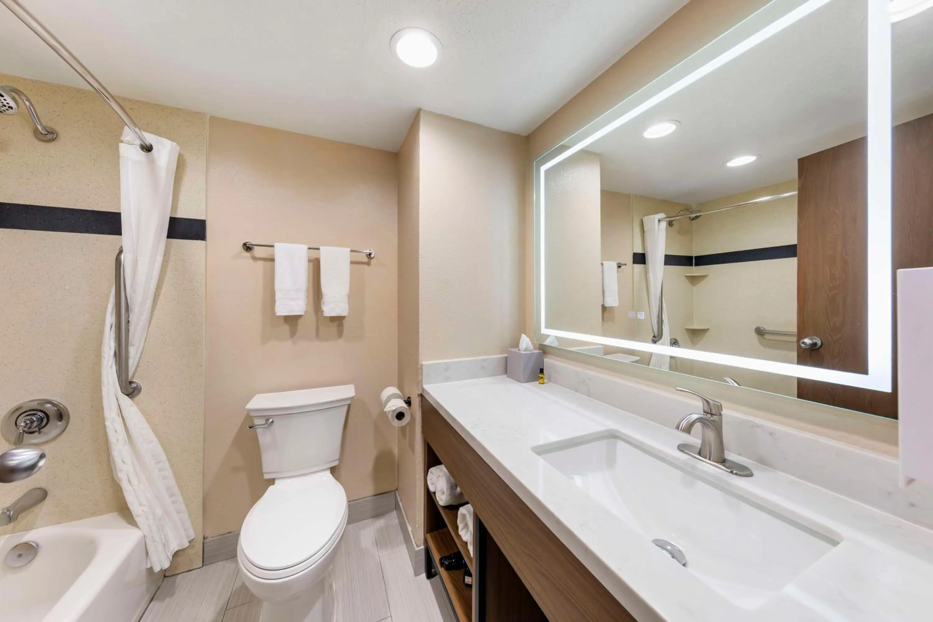 Bathroom in Best Western Plus Heritage Inn Ontario Rancho Cucamonga