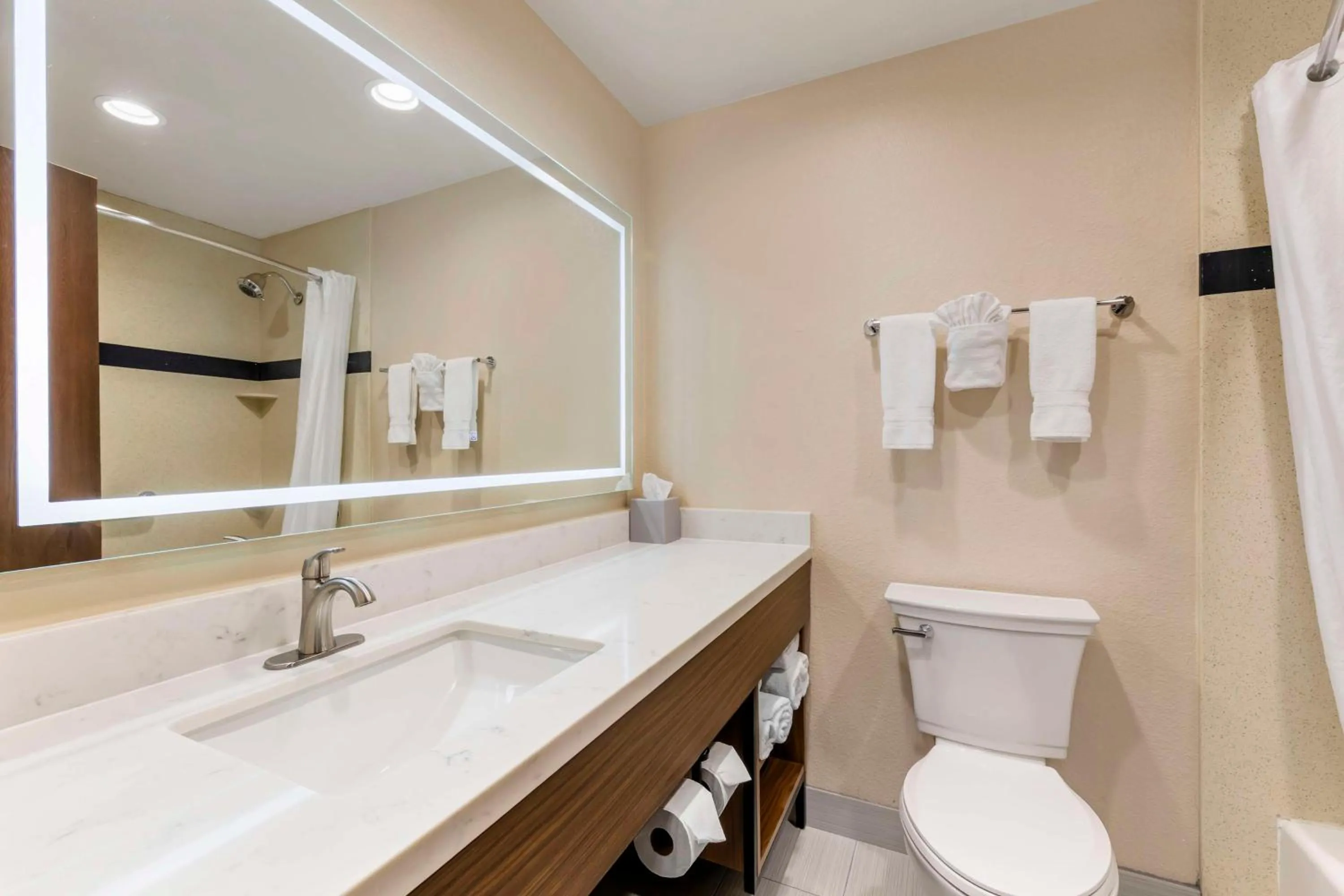 Bathroom in Best Western Plus Heritage Inn Ontario Rancho Cucamonga