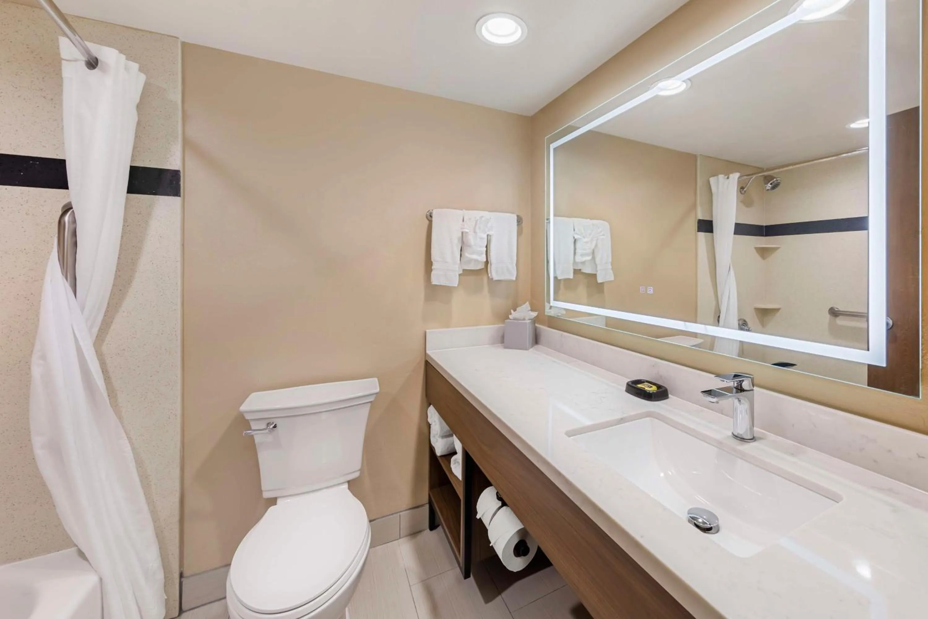 Bathroom in Best Western Plus Heritage Inn Ontario Rancho Cucamonga