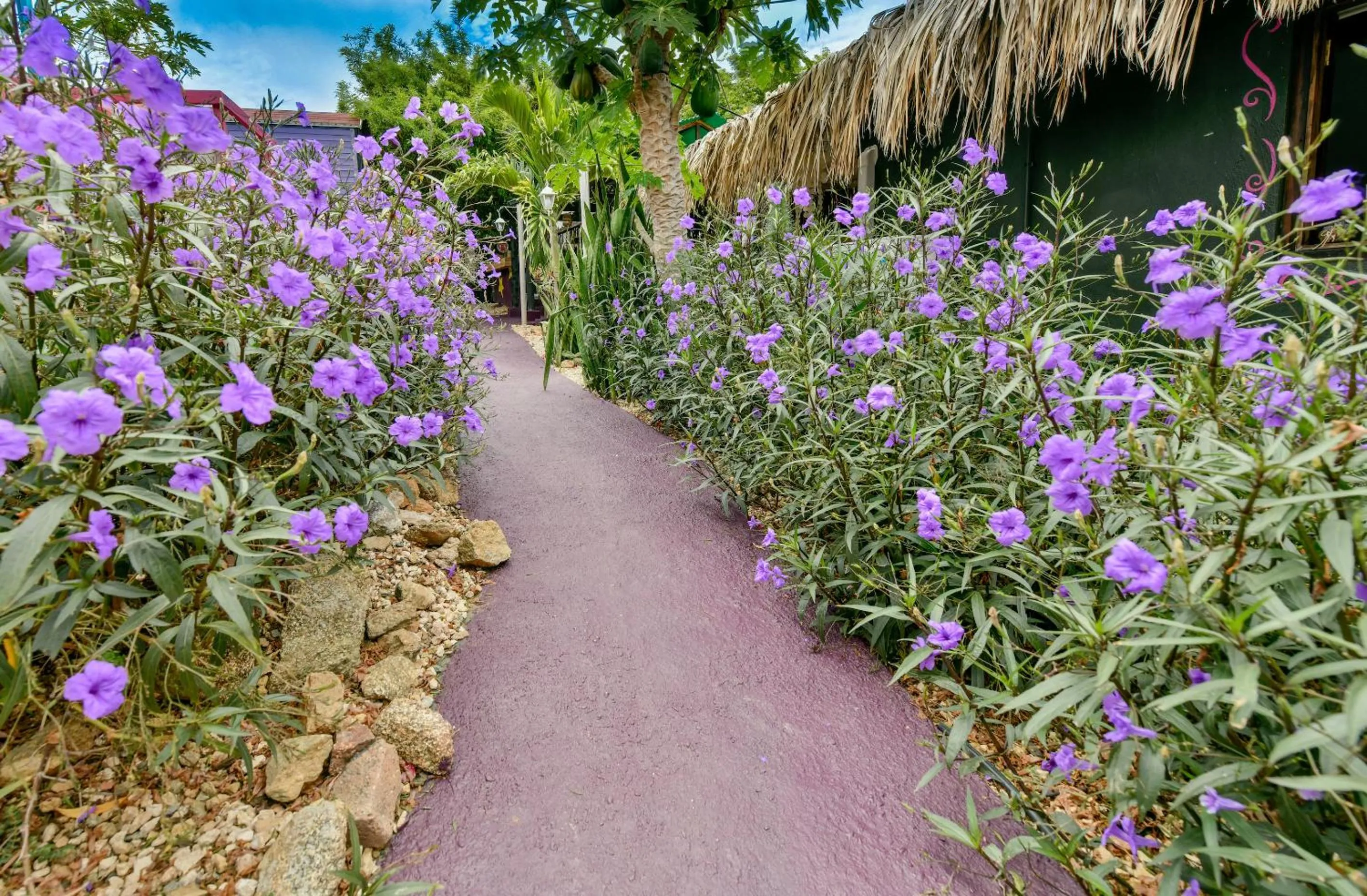 Property building in Mammaloe