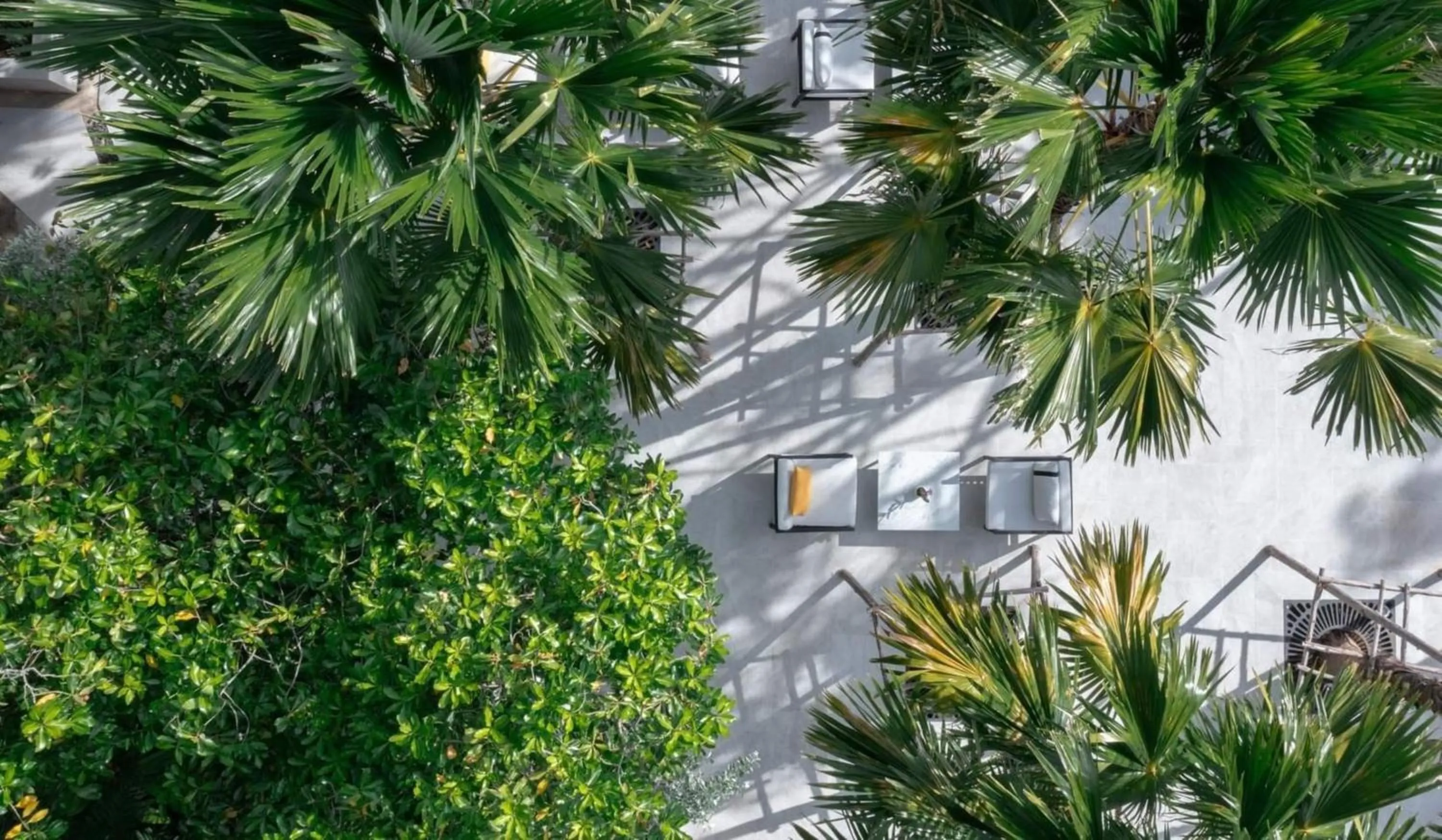 Garden in The Royal Paradise Hotel & Spa - SHA Extra Plus