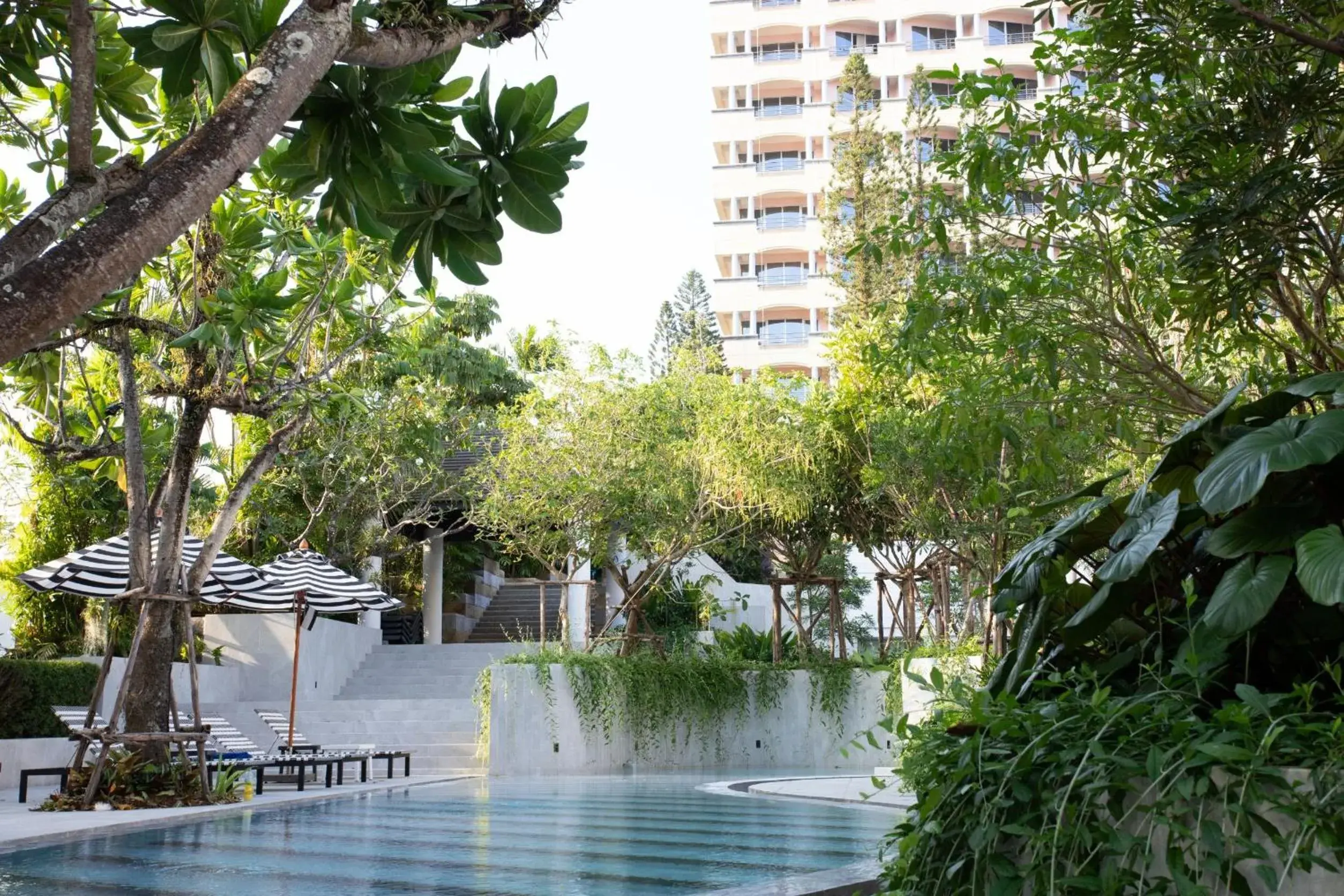 Swimming pool in The Royal Paradise Hotel & Spa - SHA Extra Plus Swimming pool in The Royal Paradise Hotel & Spa - SHA Extra Plus