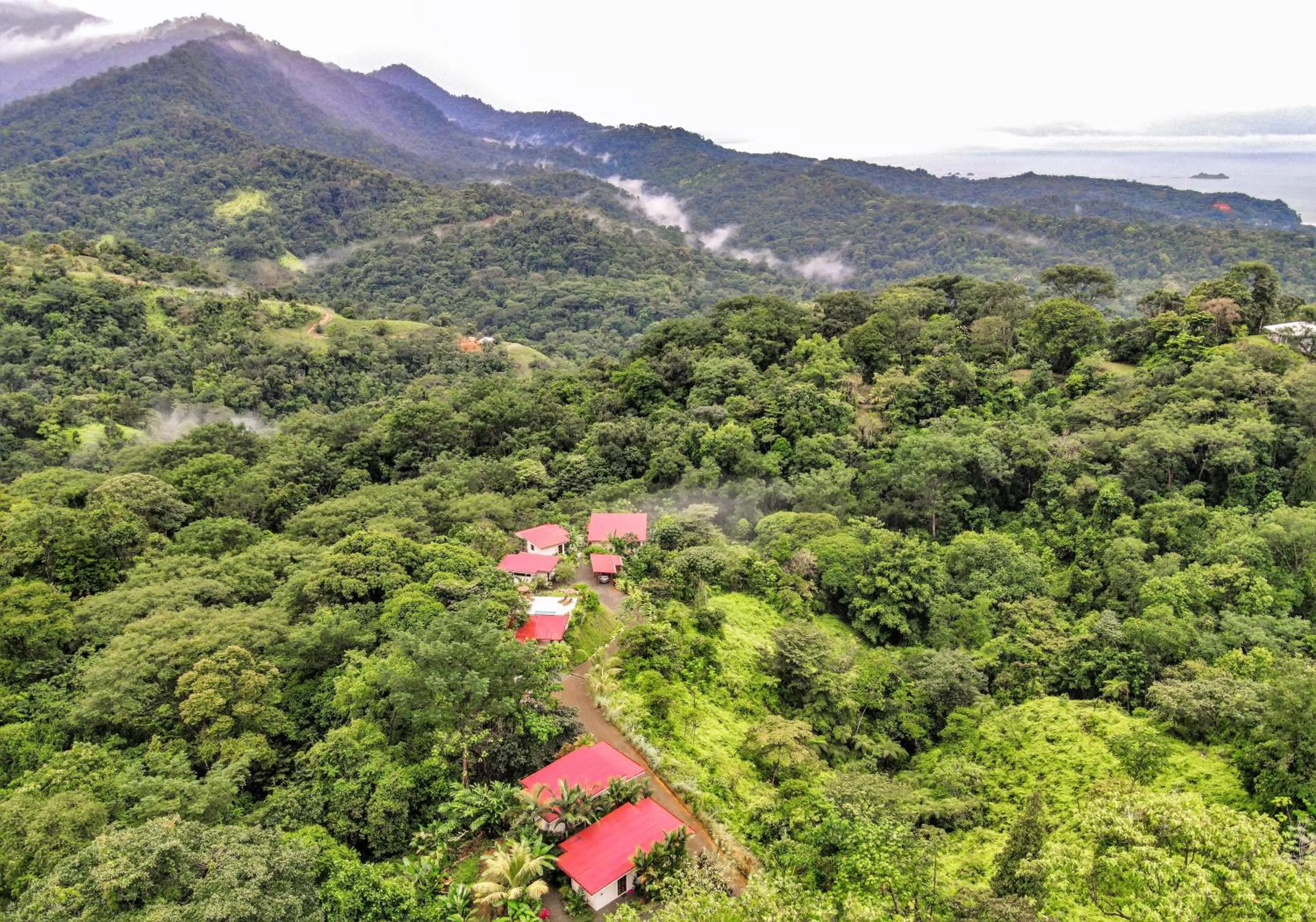 Property building in Nature's Edge Boutique Hotel