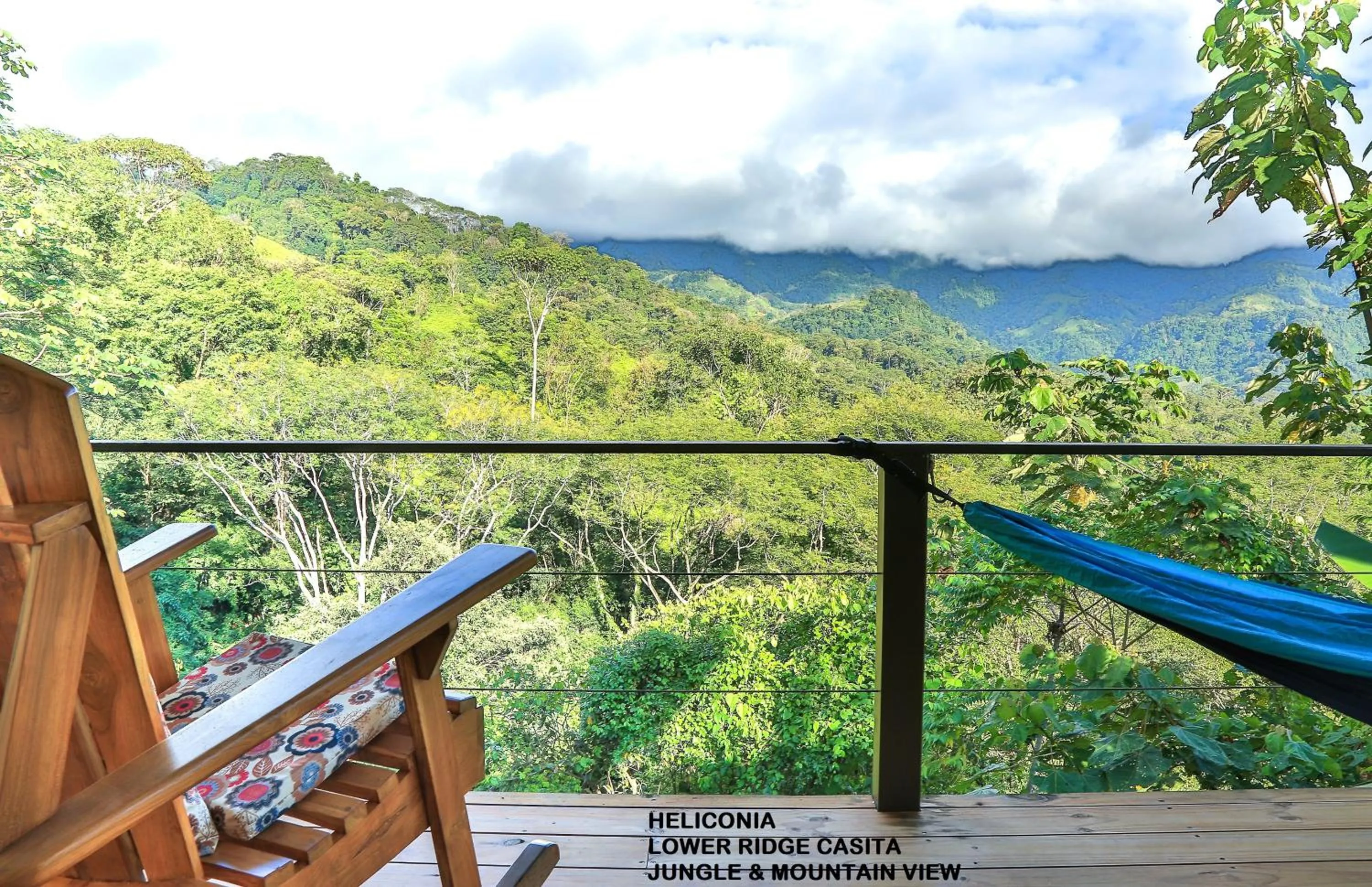 View (from property/room) in Nature's Edge Boutique Hotel