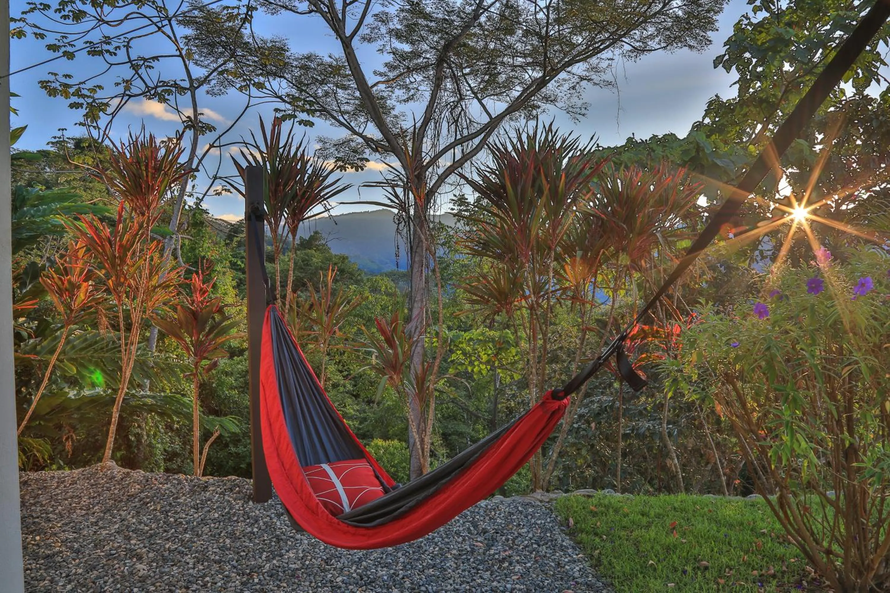 Garden in Nature's Edge Boutique Hotel