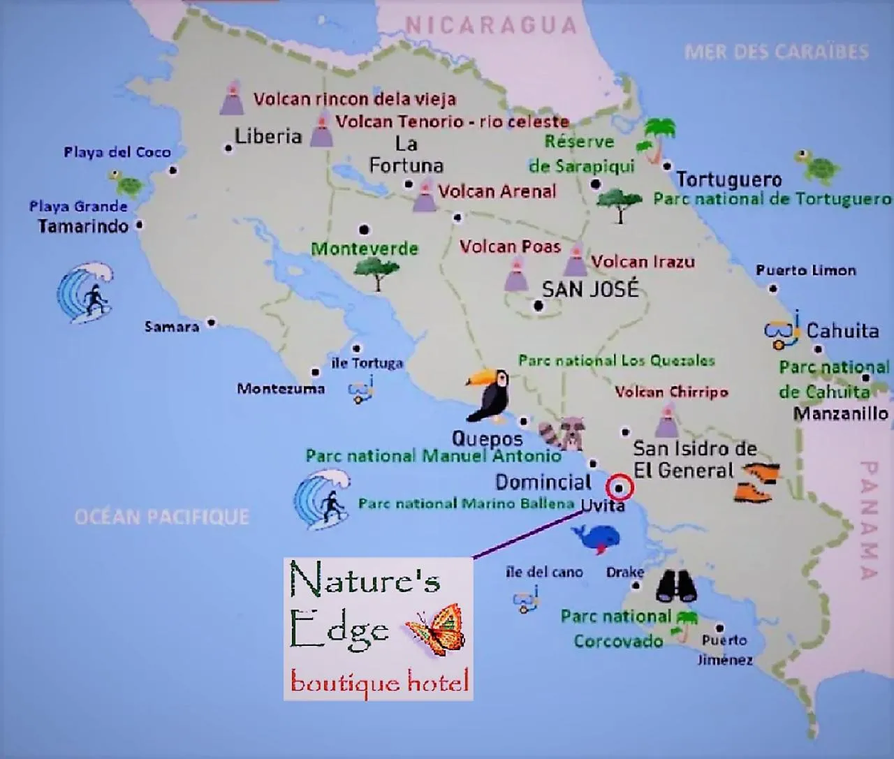 Location in Nature's Edge Boutique Hotel