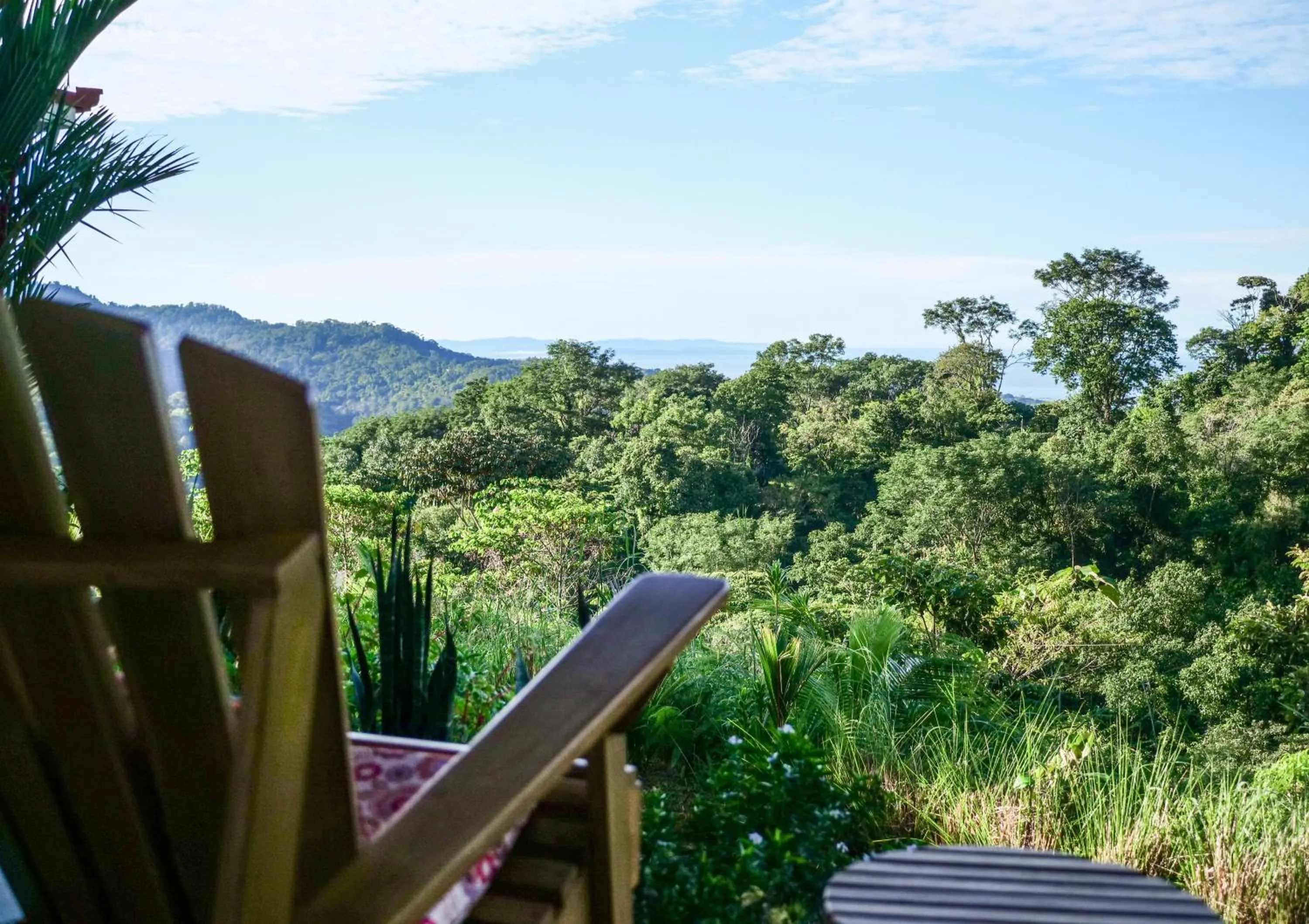 Sea view in Nature's Edge Boutique Hotel