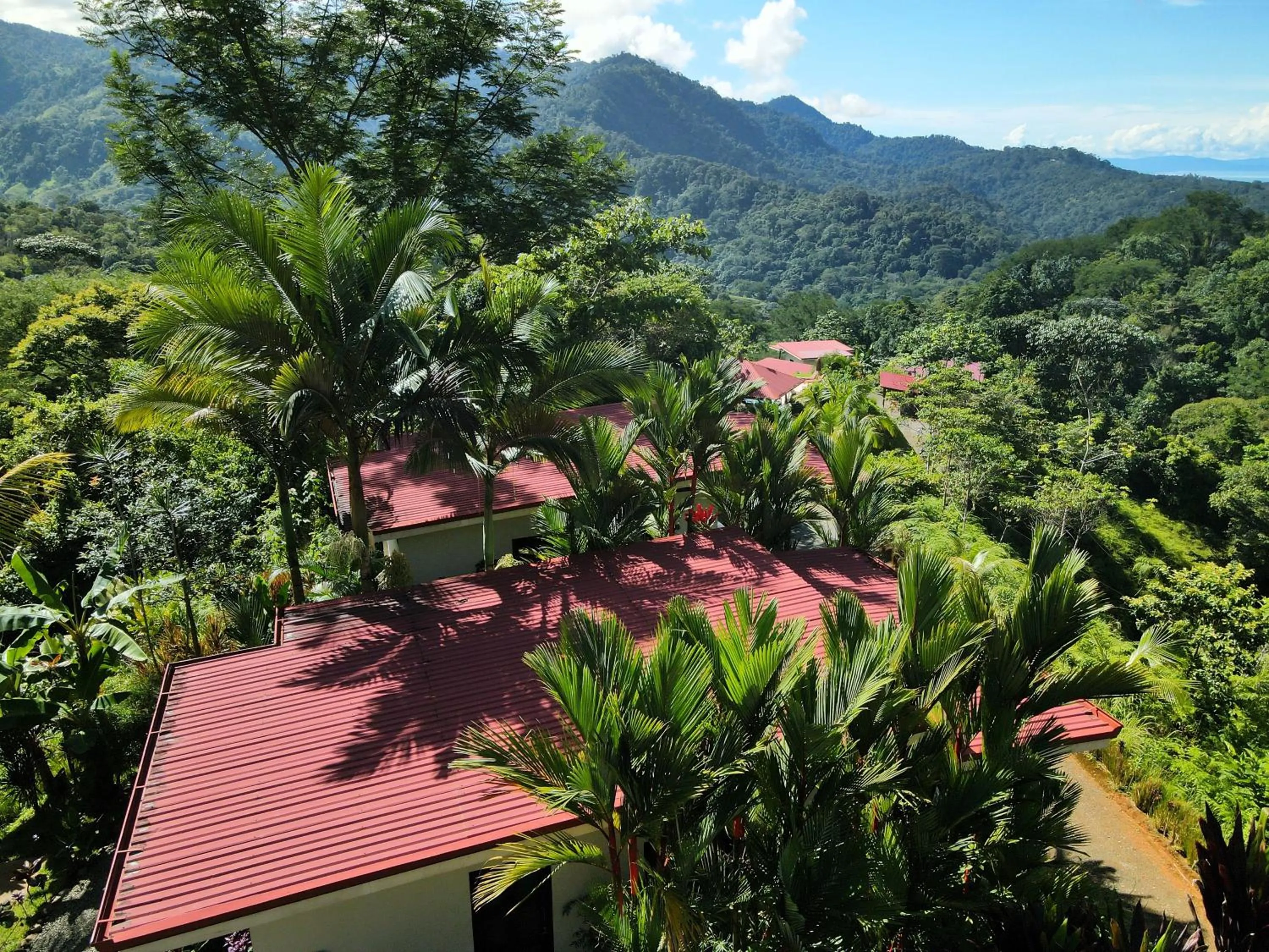 View (from property/room) in Nature's Edge Boutique Hotel