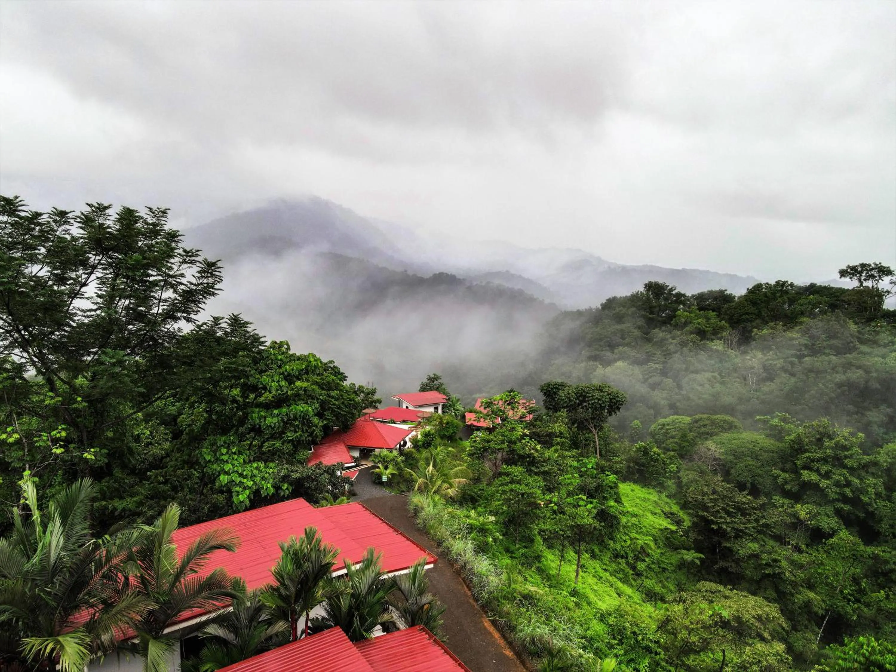 Natural landscape in Nature's Edge Boutique Hotel